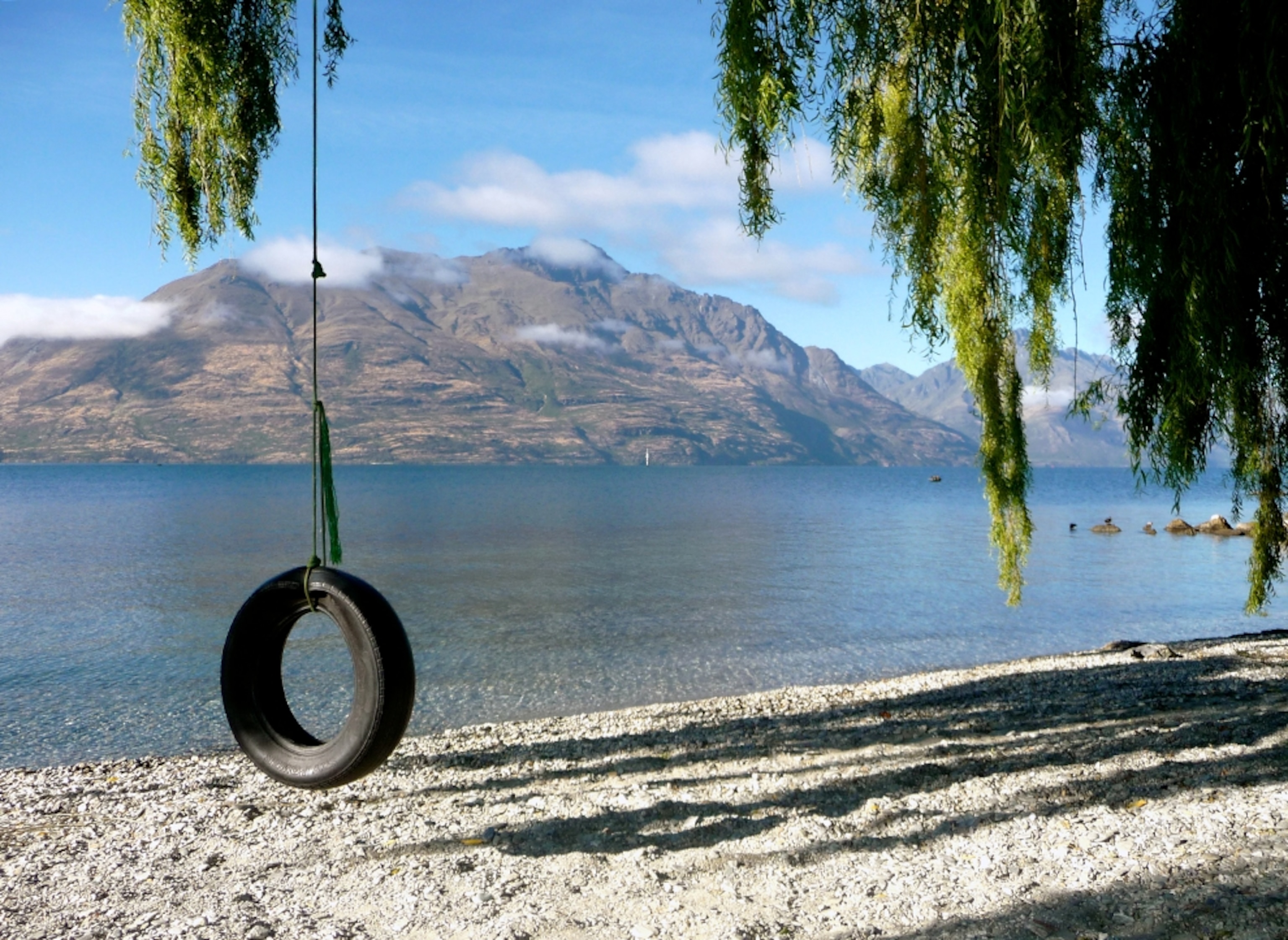 Tire swing along the pristine waters of Queenstown, New Zealand