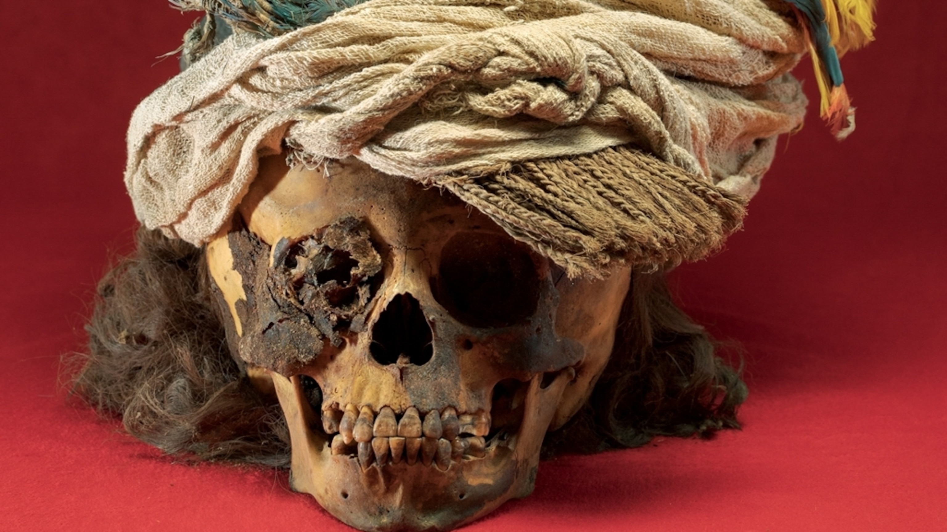This new tool will help upend everything we assumed about ancient gender roles