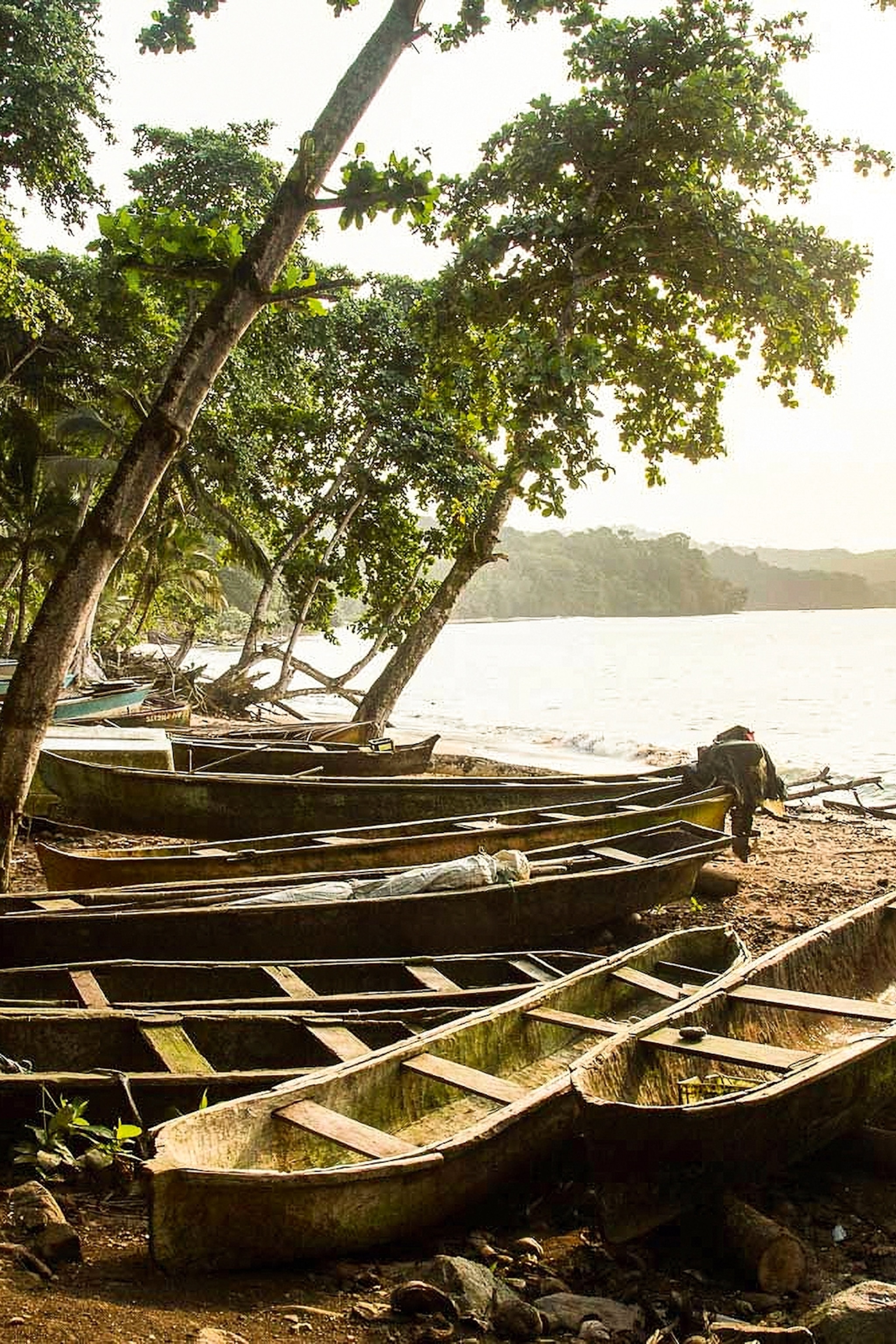 A bunch of fishing boats lined up on a sandy beach at sunset.