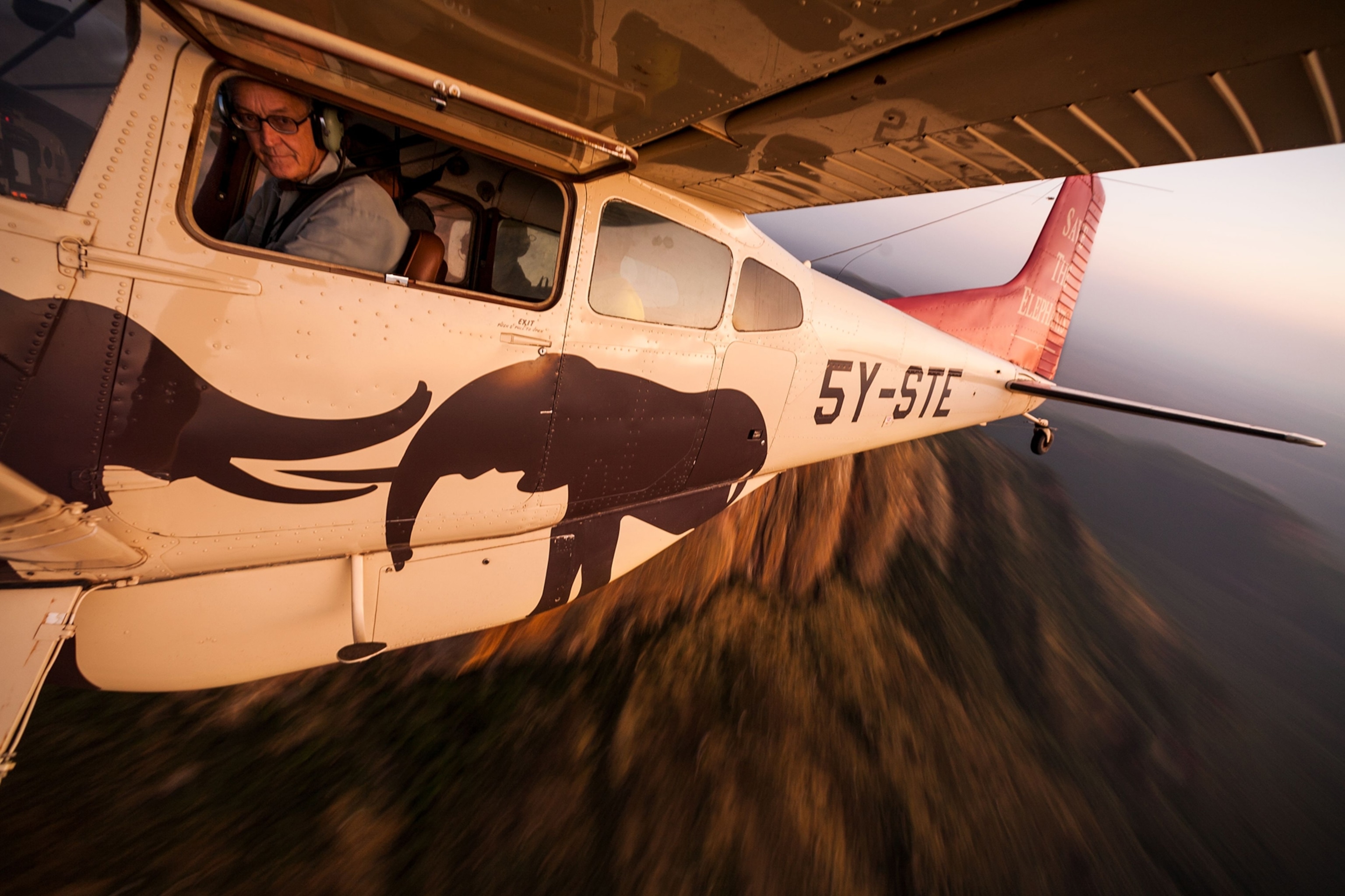 His little Cessna is a tool by which to see and know elephants. It's also a pleasure. After 40 years and 6,000 piloting hours, Douglas-Hamilton soars over the landscape, deft and curious as an African pled crow.