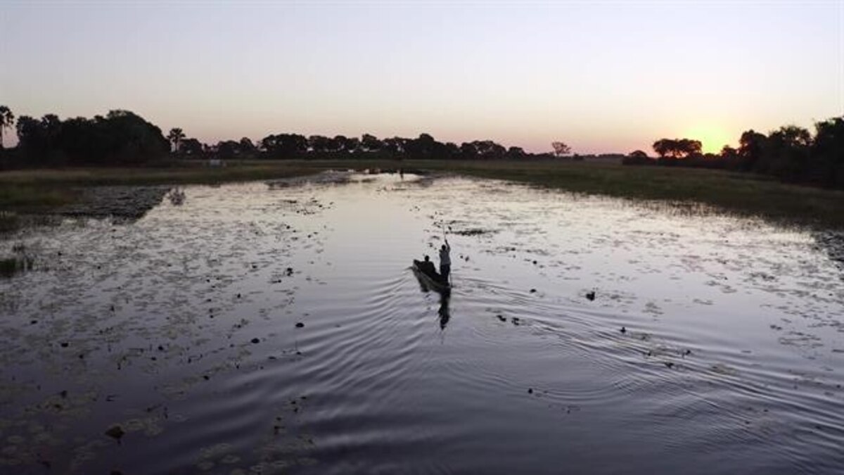 Okavango Eternal: Year one - Vimarsana News
