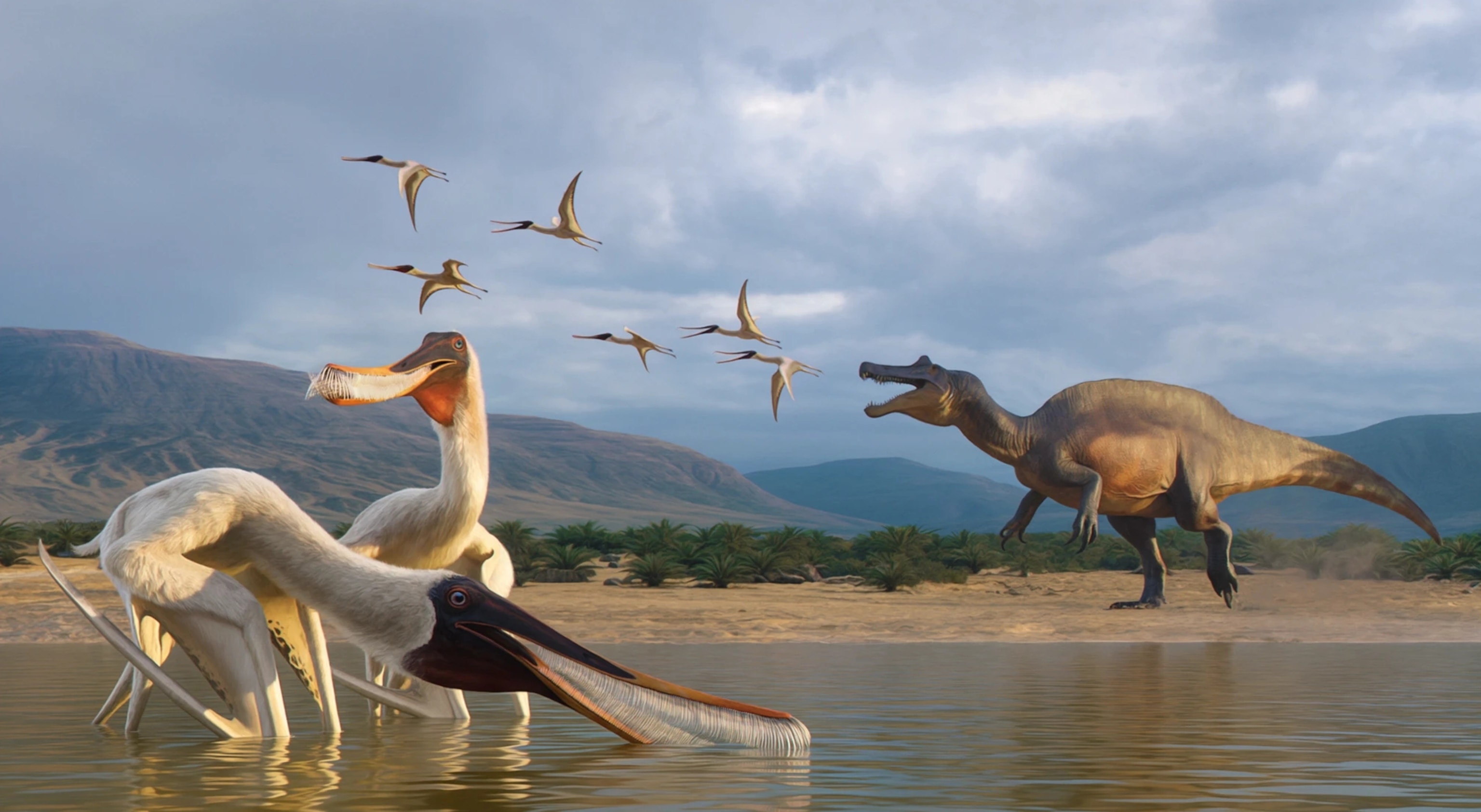 Artistic reconstruction of the filter-feeding pterosaur Barikibu waridza gen et sp. nov. in the Early Cretaceous Romualdo Formation environment. The spinosaurid in the background represents the putative predator that produced the regurgitalite.