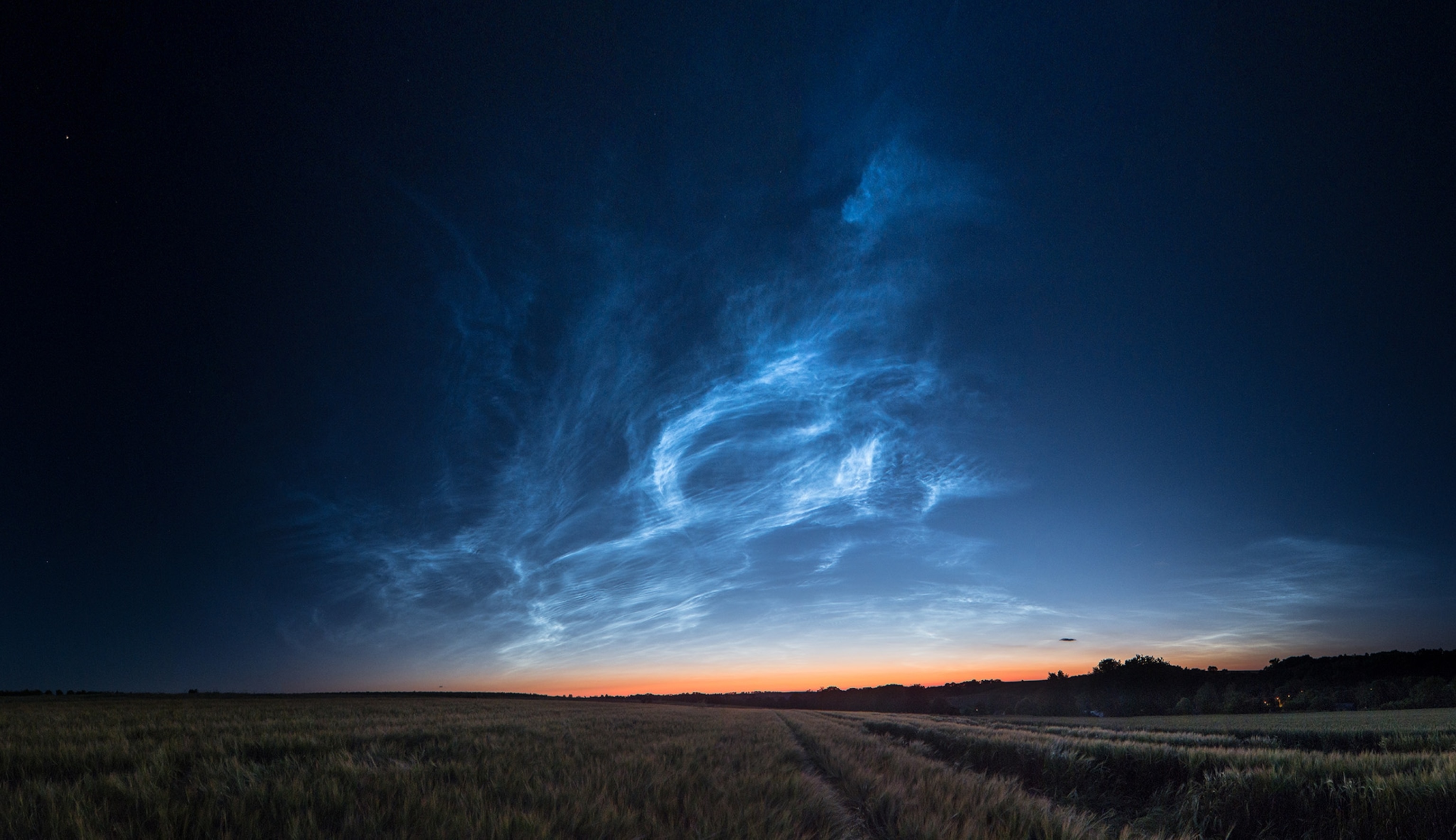 Rare silvery clouds over a field at sunset