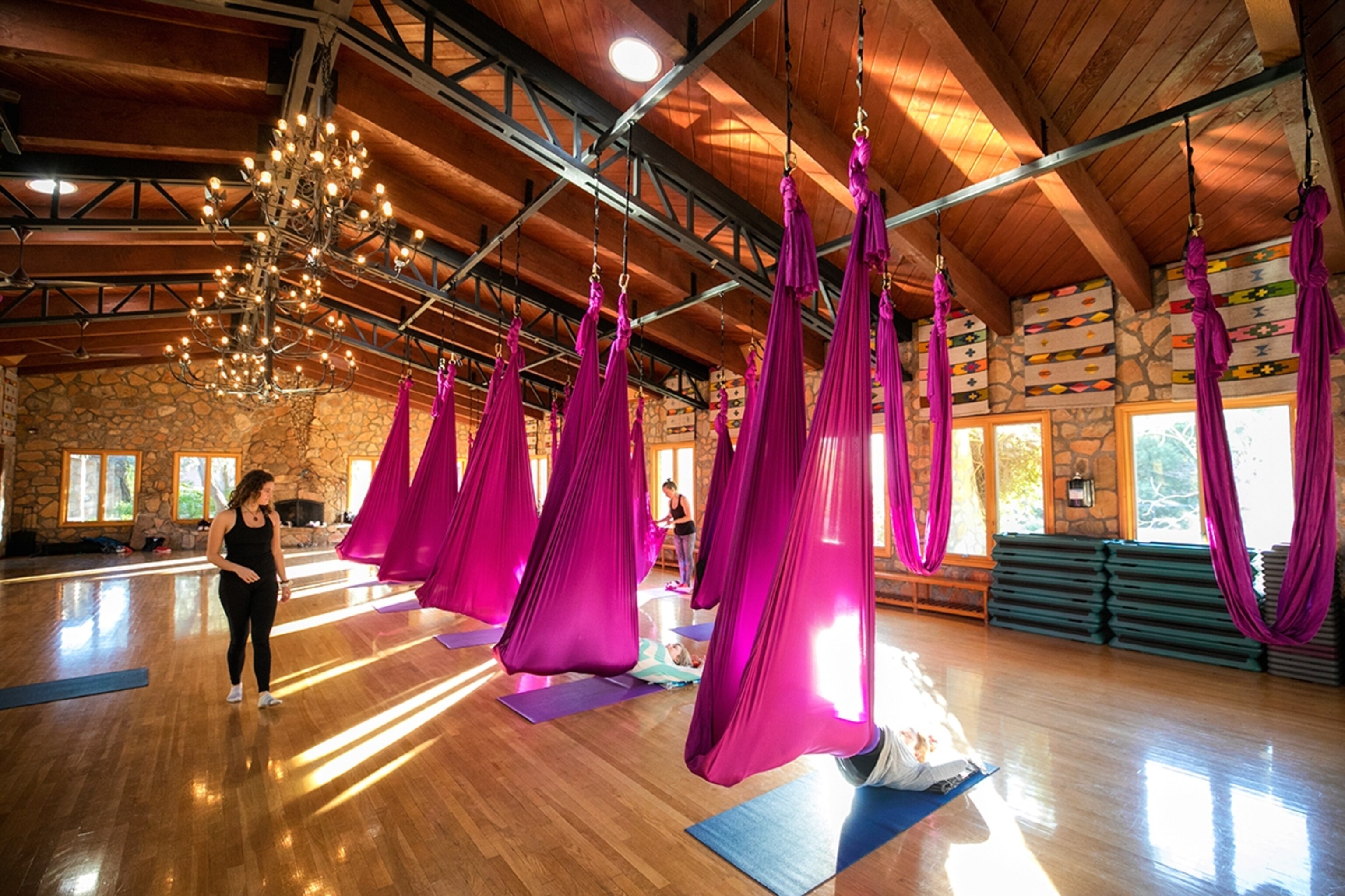 A dozen purple aerial yoga sheets suspended from a ceiling in a large room with wooden floors and ceiling beams as sunlight pours in from the nearby windows.