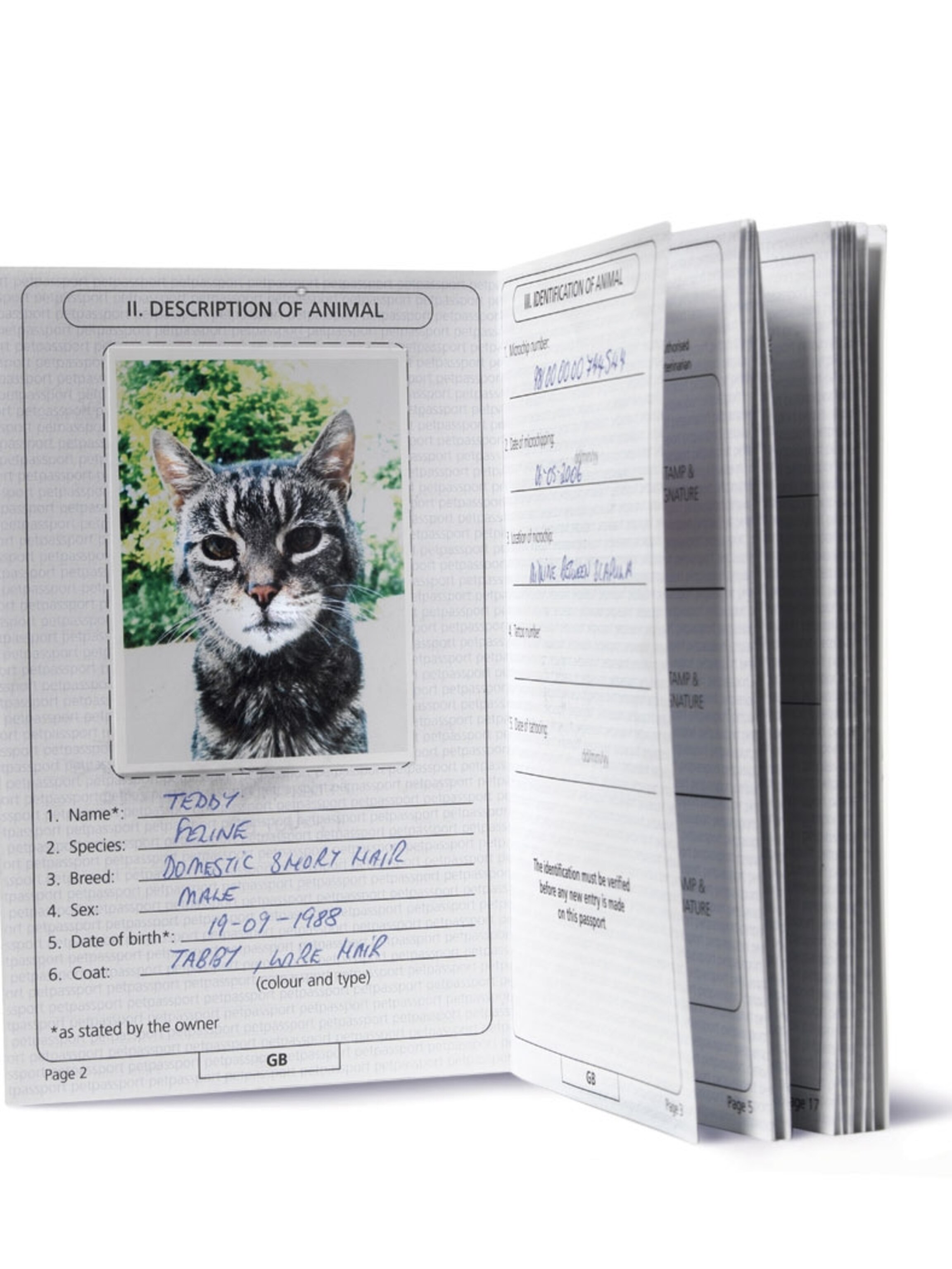 Pablo Escobar Kitty Finally I Have A Passport passport pet cat uae