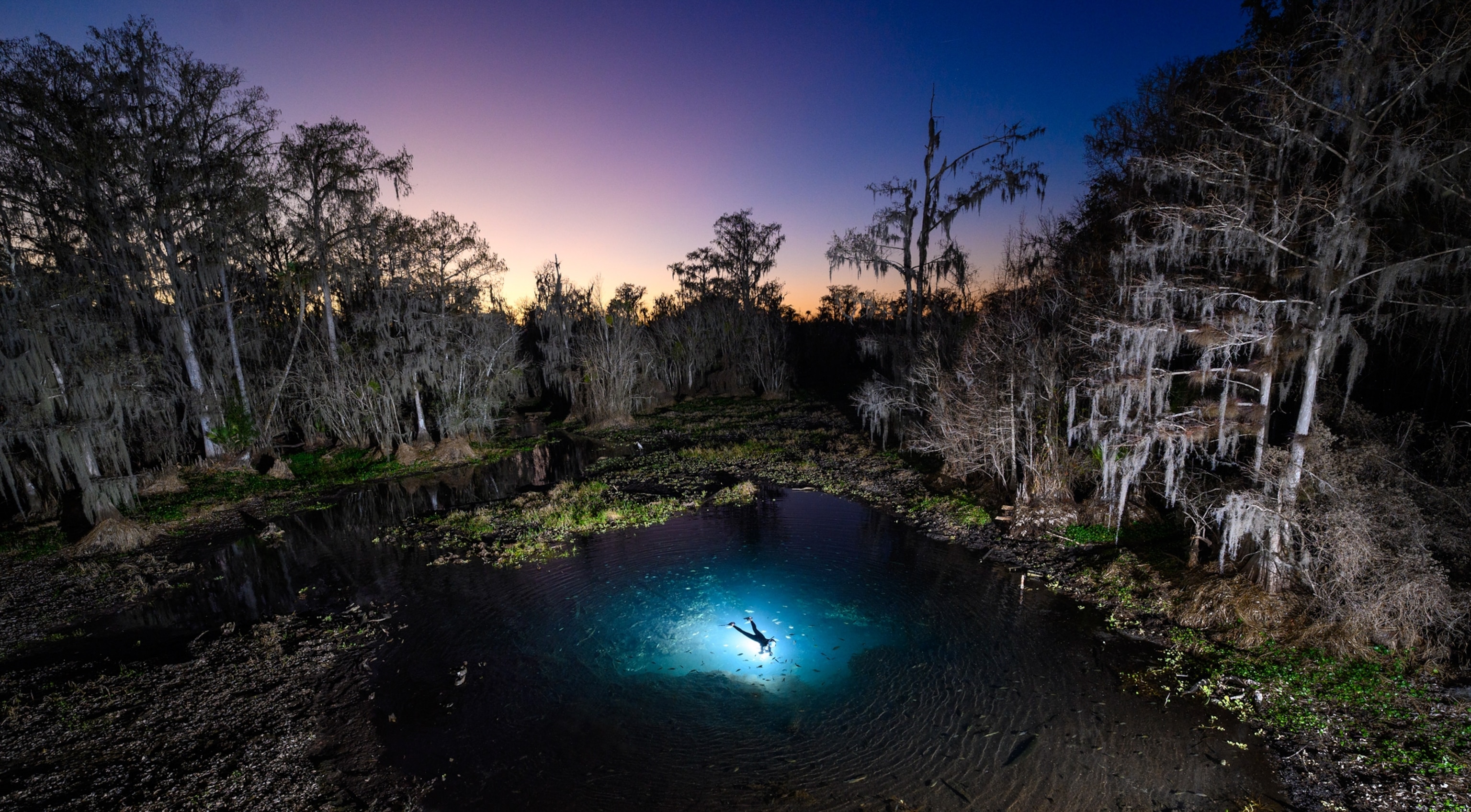 A lone swimmer glows in a vibrant blue pool at dusk, surrounded by dense, shadowy forest. The sky transitions from orange to deep blue
