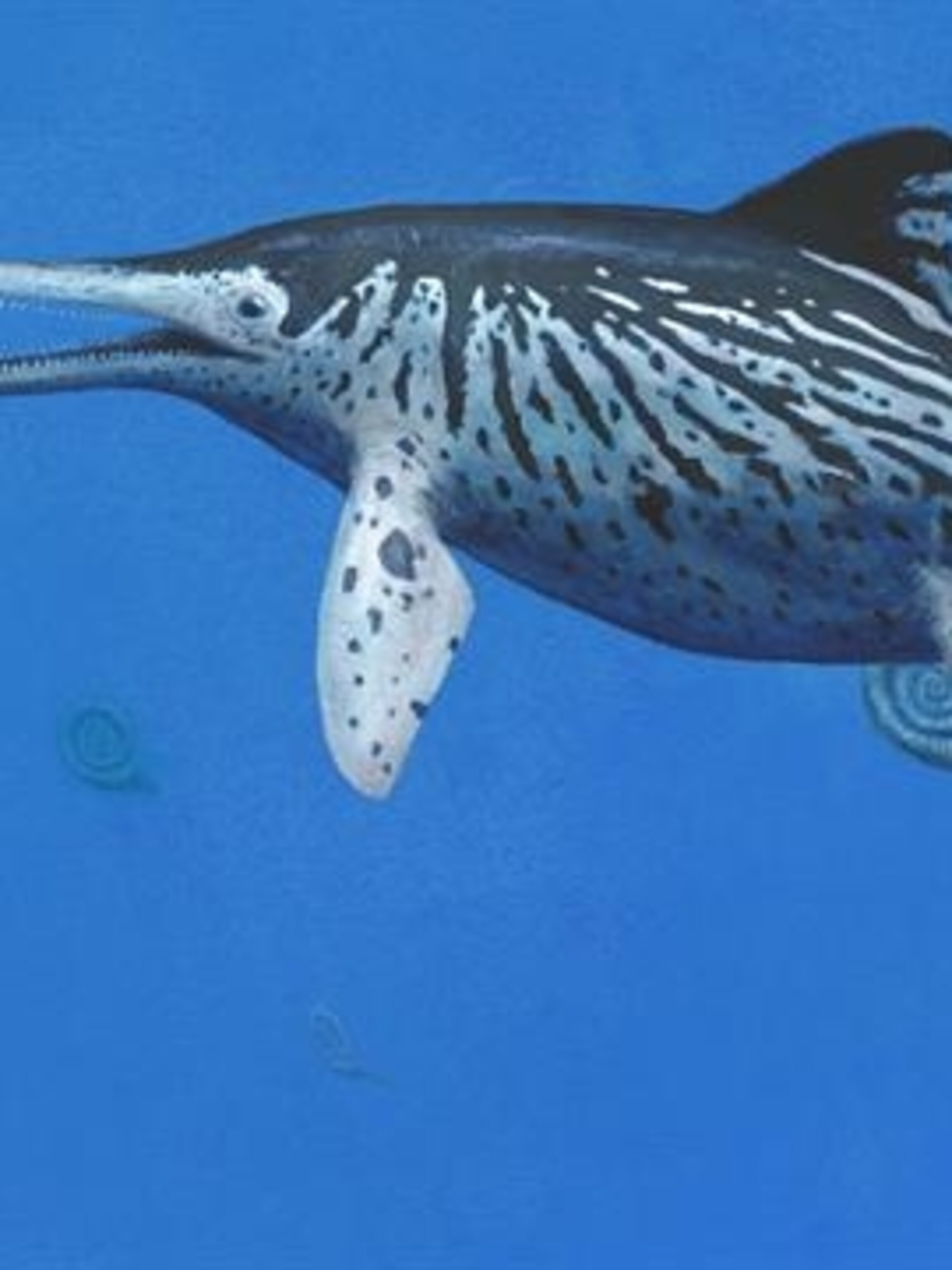 New Sea Monster Fossil Found In U K May Be Largest Known