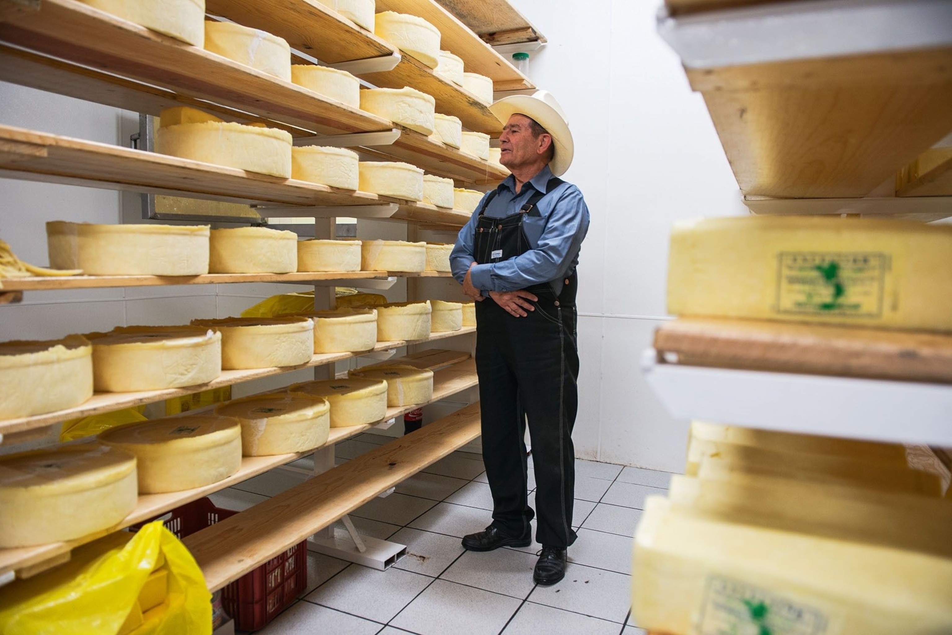 Isaac Enns Wall, manager of Quesería Holanda, inspecting cheeses