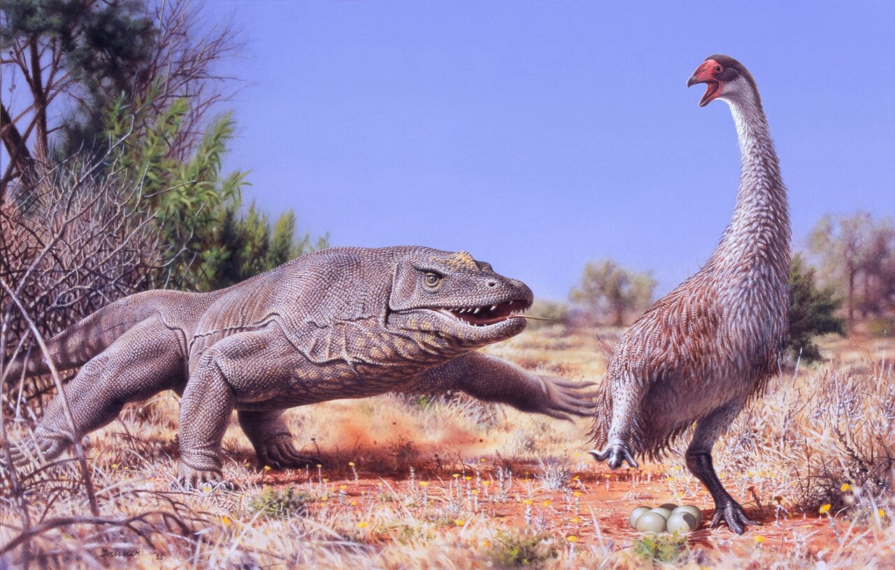 Megalania Preview