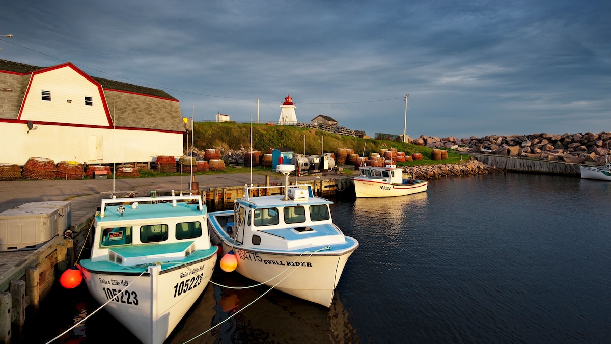 Snow Squad to the Rescue!/Images Bubble Guppies Wiki