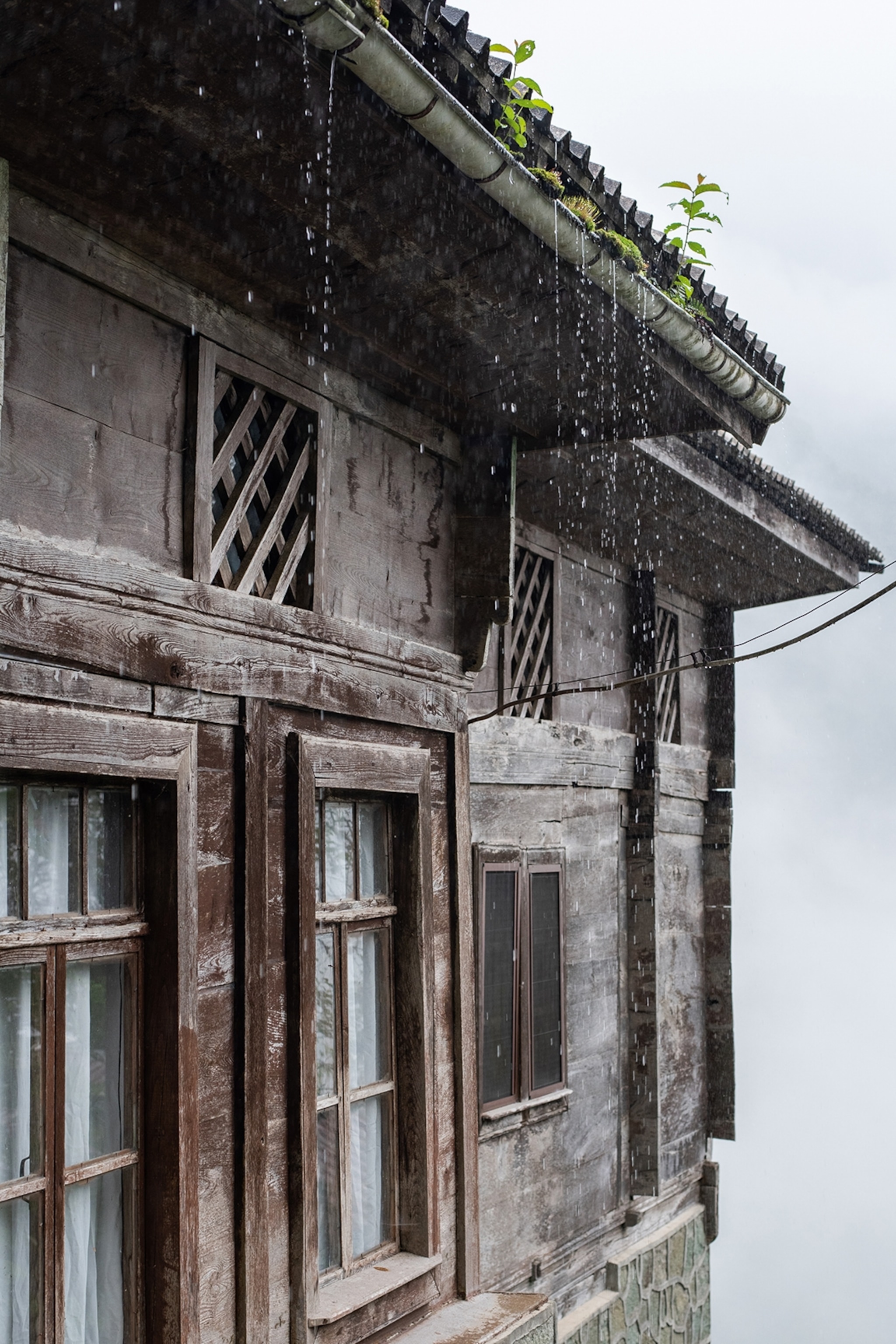 A wooden mountain house with plants growing through the tiled roof as it pours rain.