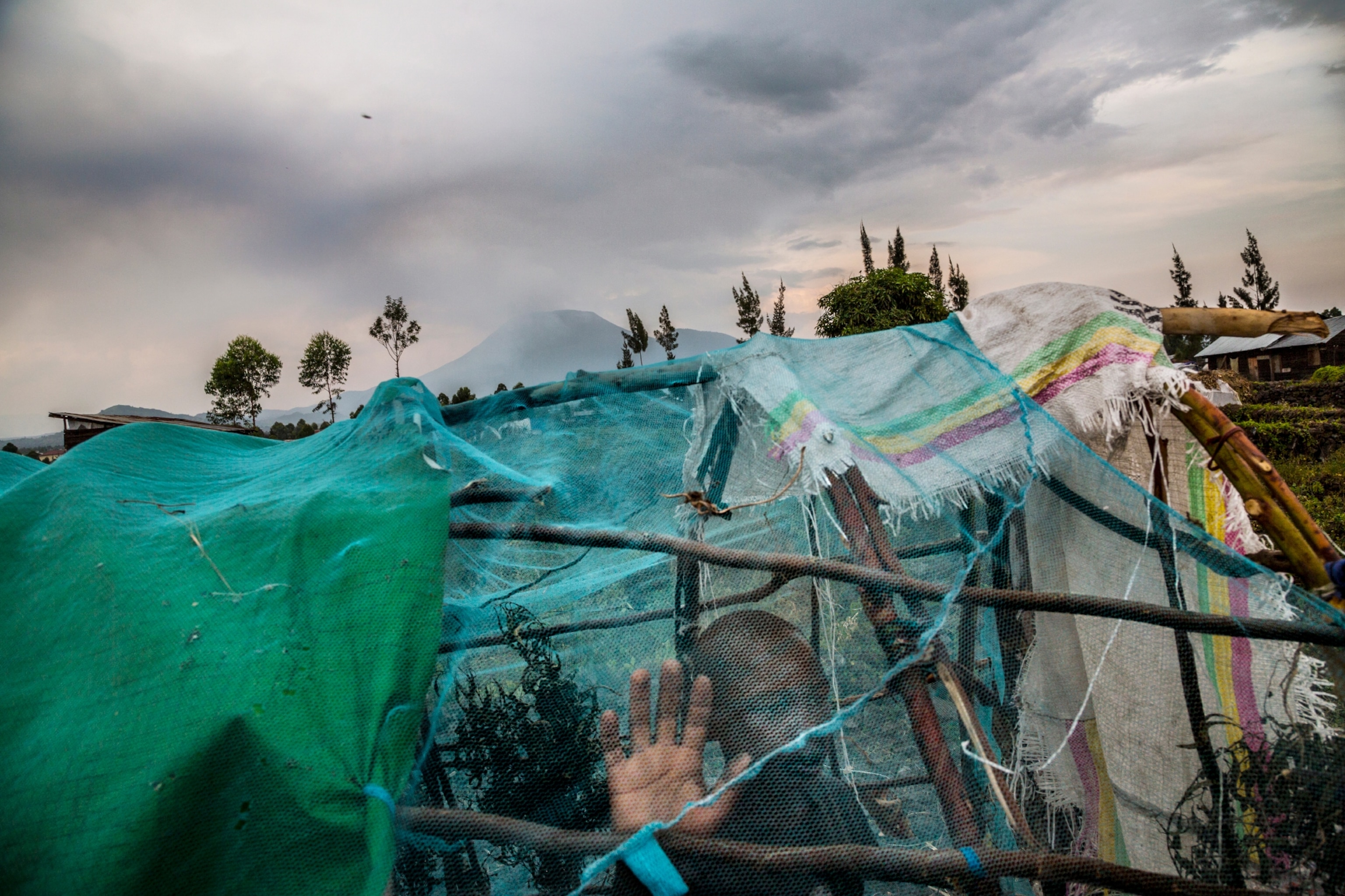 refugee in goma drc