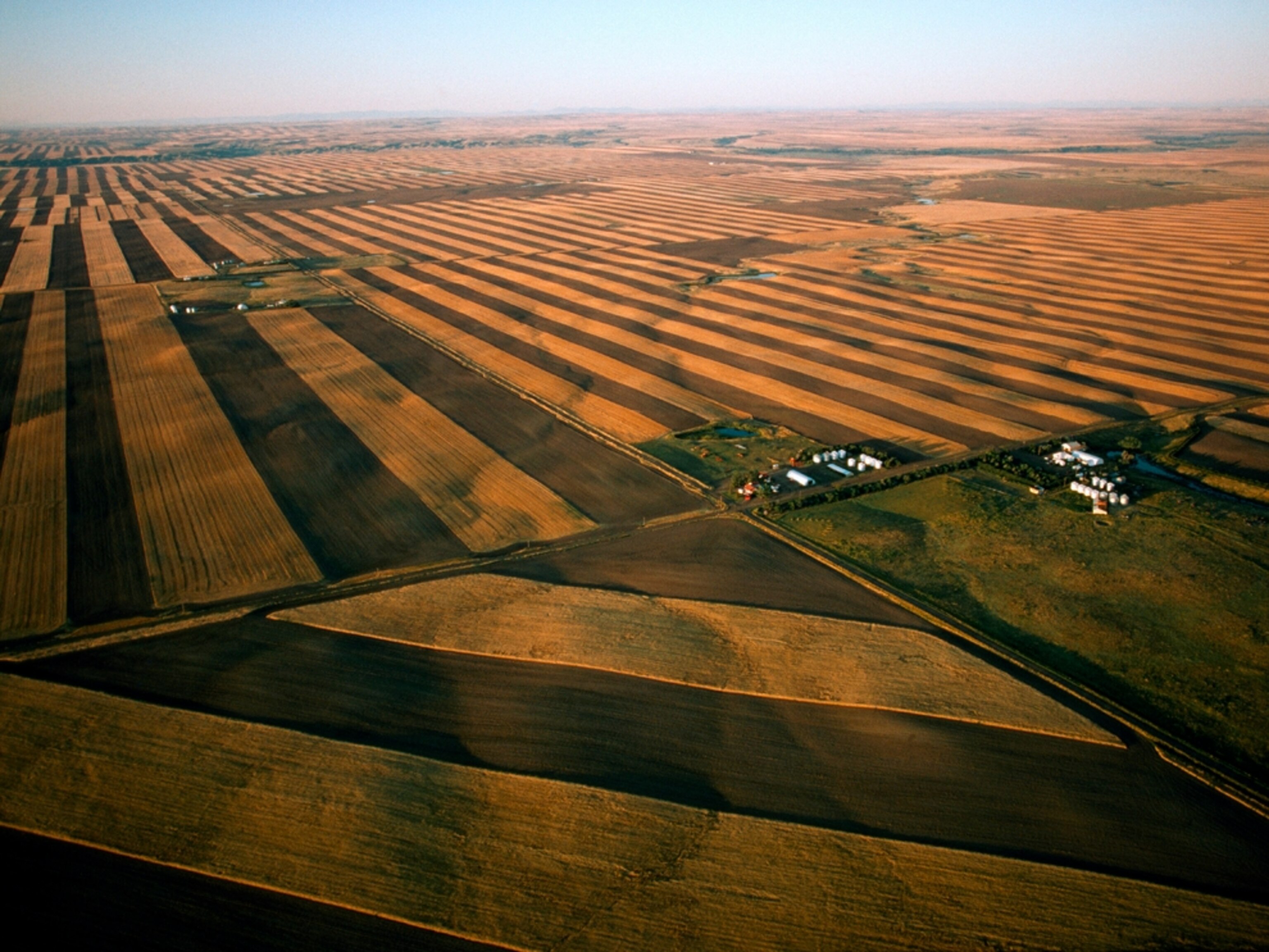 Picture: Wheat fields