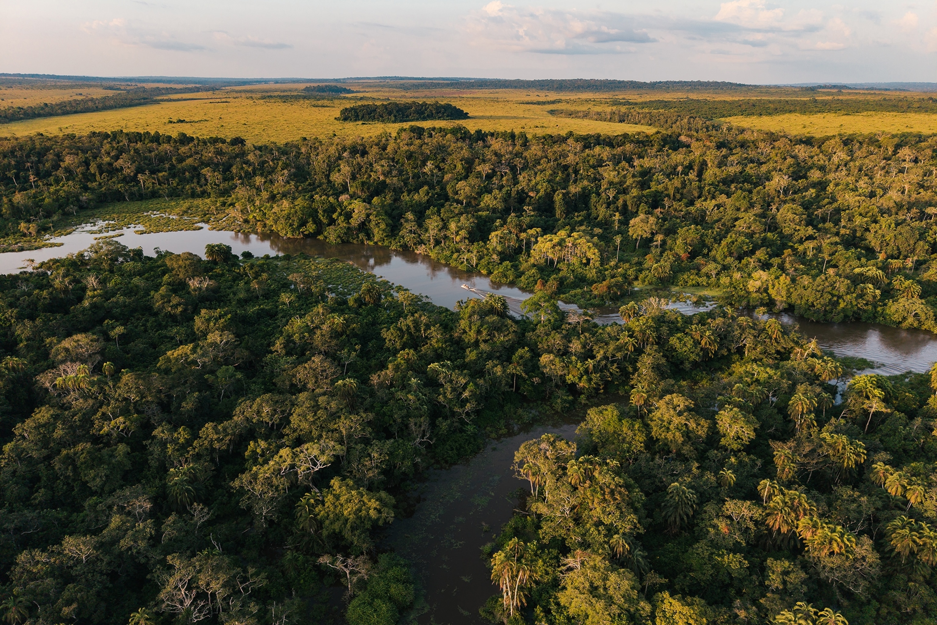 An aerial shot of a tropical forest with a river running through.