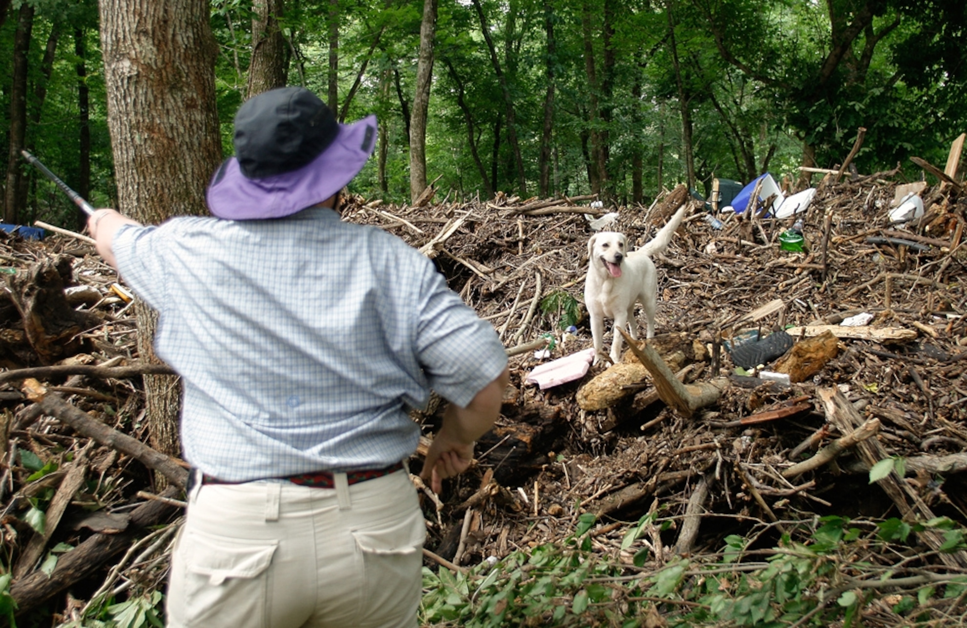 Picture of a dog helping look for Arkansas flash flood survivors
