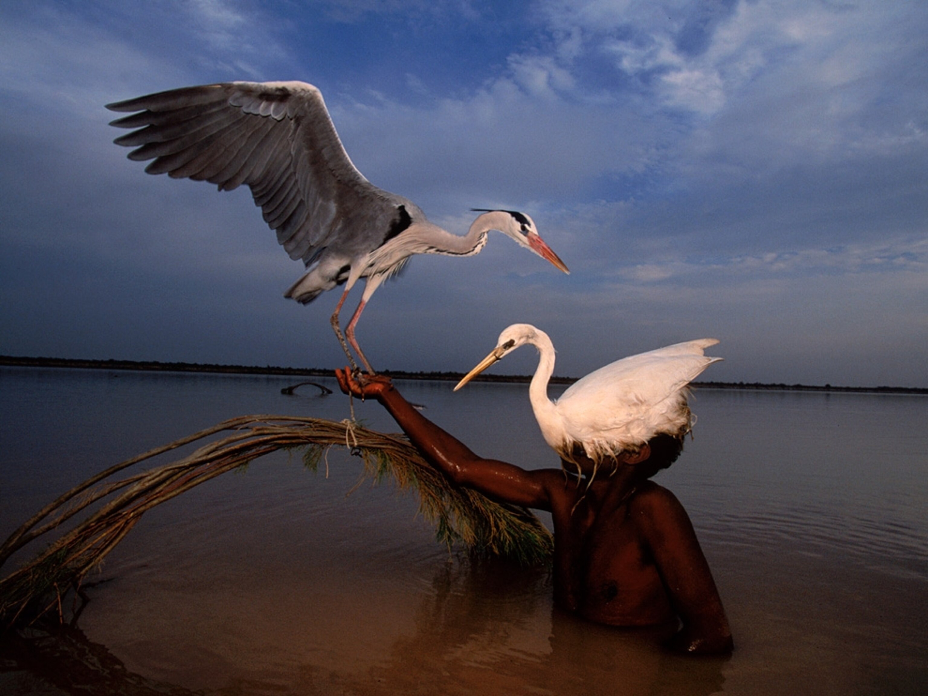 A hunter in Pakistan wearing a bird mask
