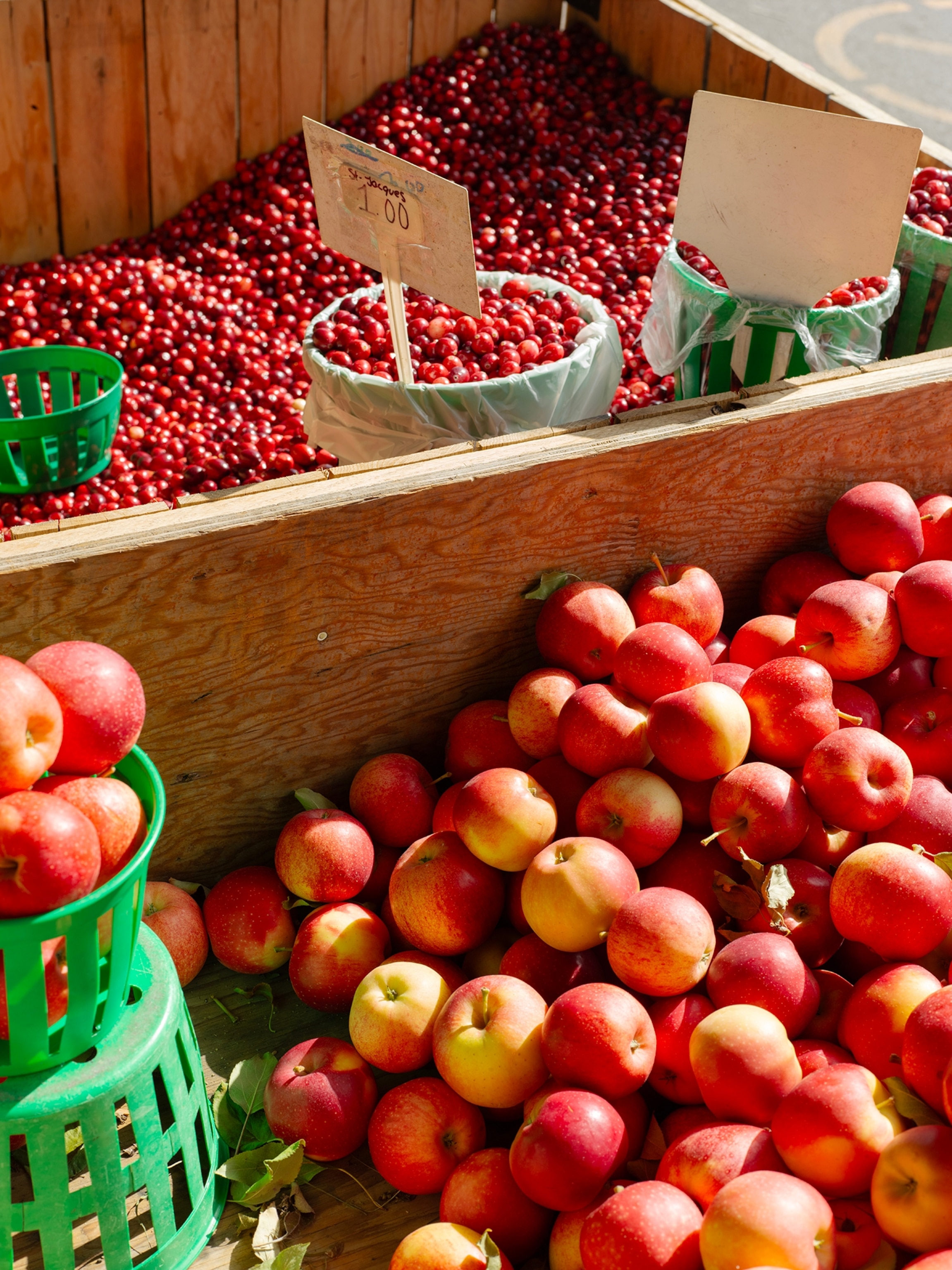 In the heart of Little Italy, the Jean-Talon Market is one of the oldest public markets in Montréal. When it originally opened in May of 1933, it was named “Marché du Nord” (north-end market) before becoming the Jean-Talon Market, named in honour of the first Intendant of New France.The Jean-Talon Market is known for its numerous local fruit and vegetable vendors as well as the cultural diversity of its shopkeepers.