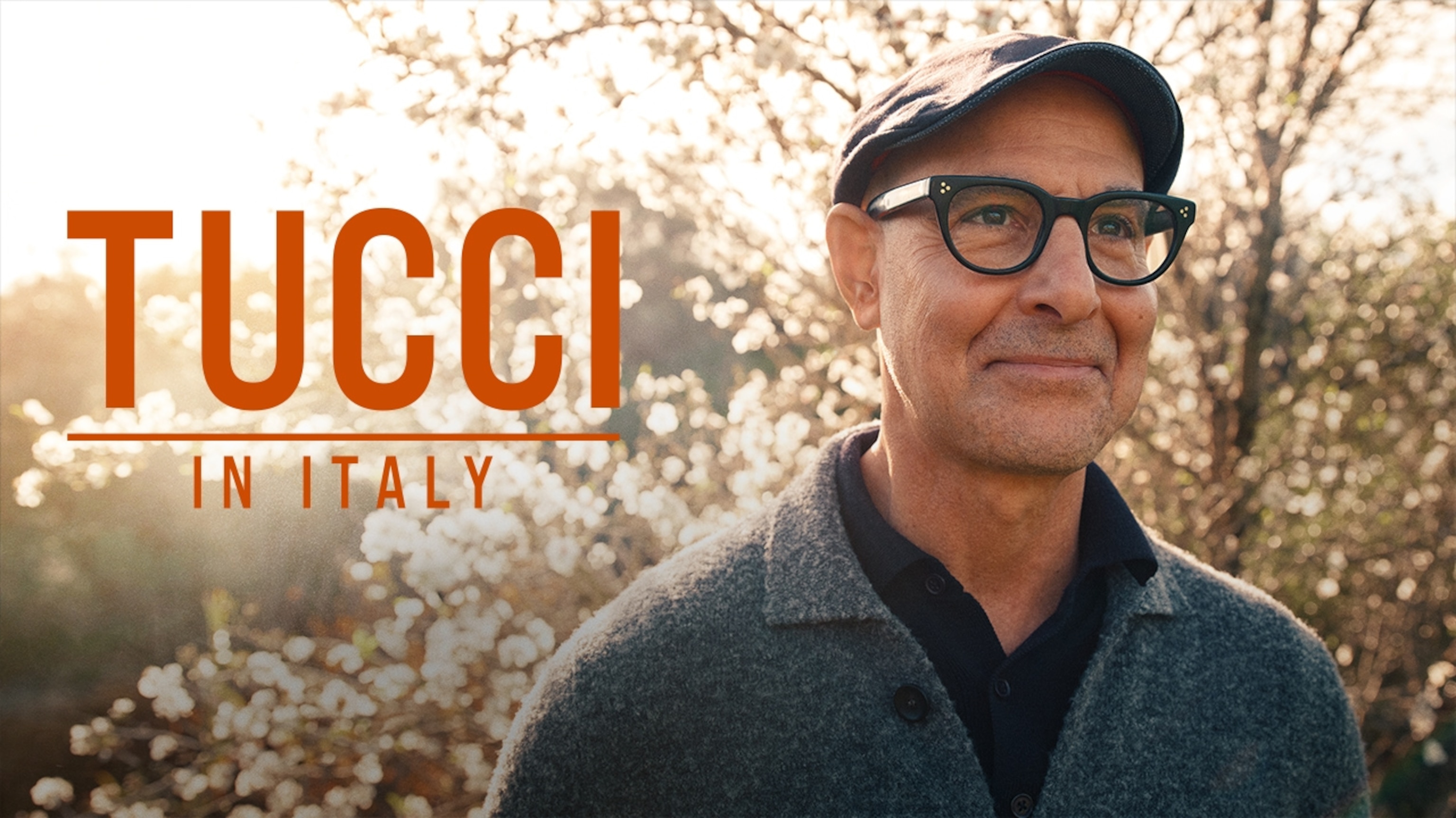 Tucci In Italy