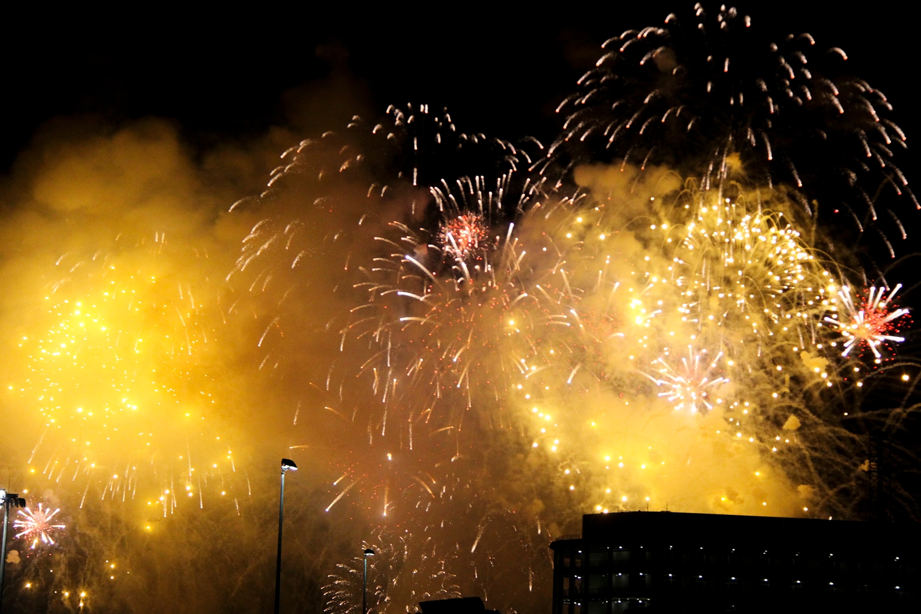 the Olympic torch in Sochi.