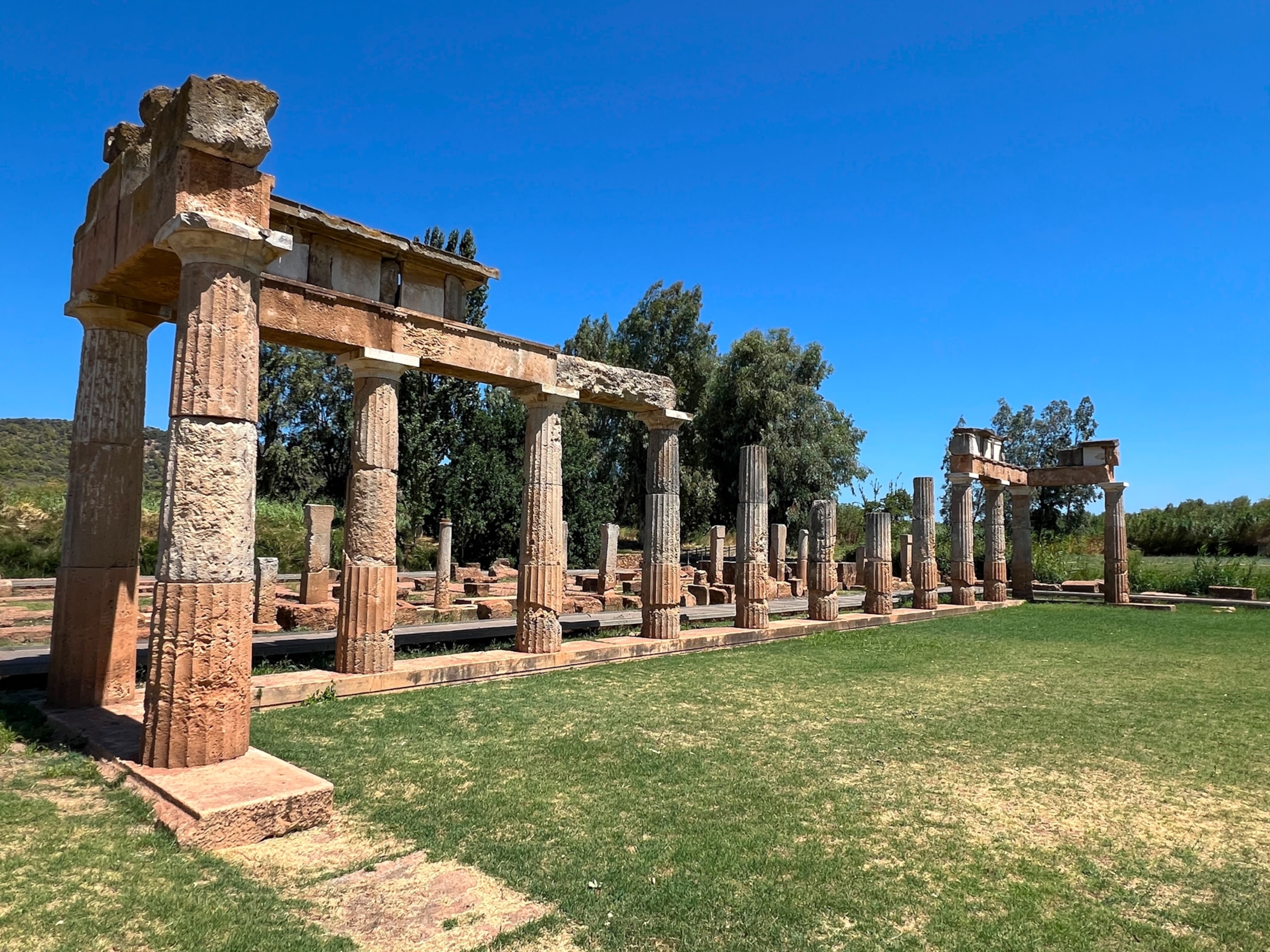 Ancient stone columns stand in an overgrown area, surrounded by grass and trees, beneath a bright blue sky.