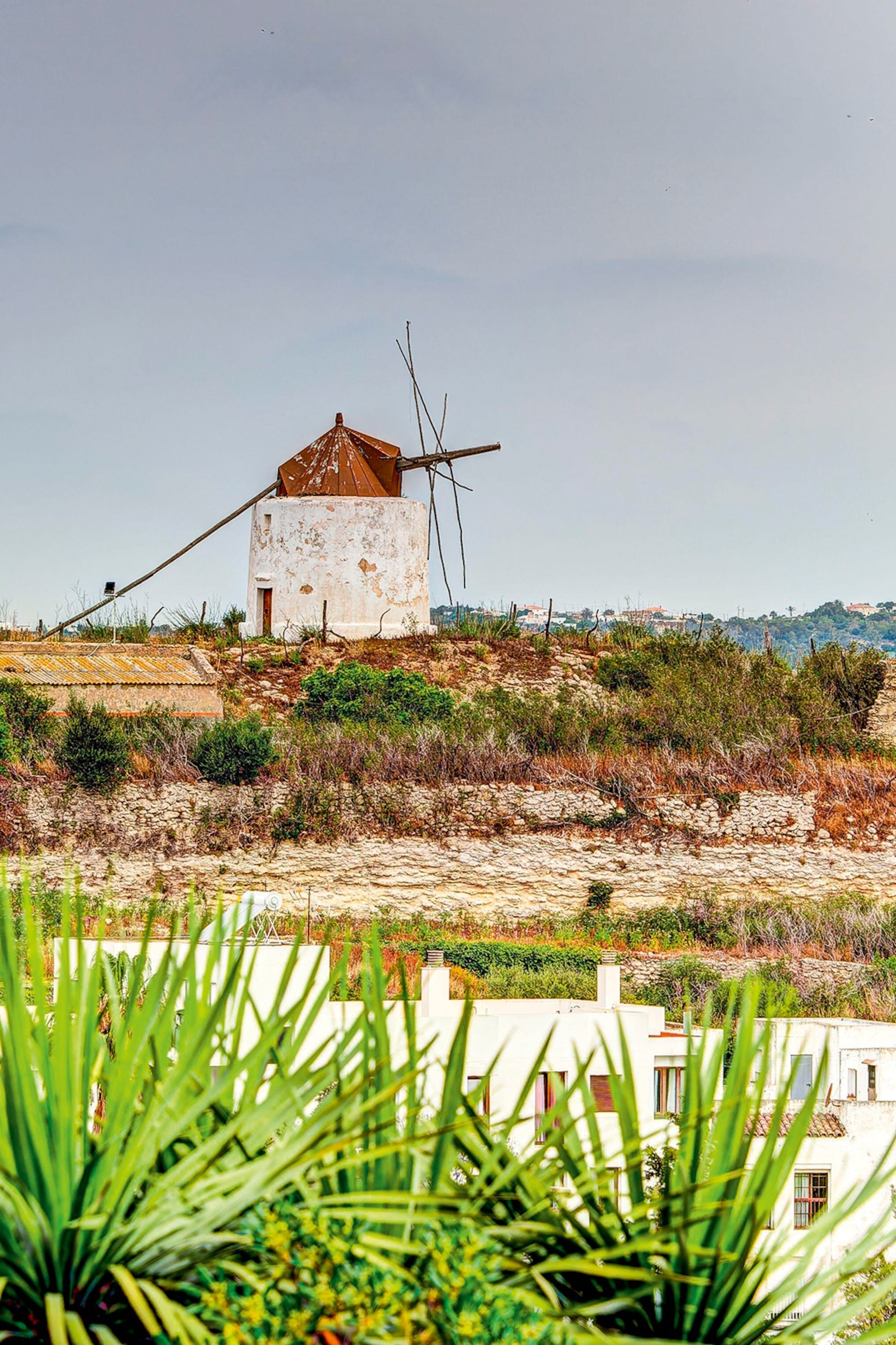 A landscape shot with a stone windmill in the background.
