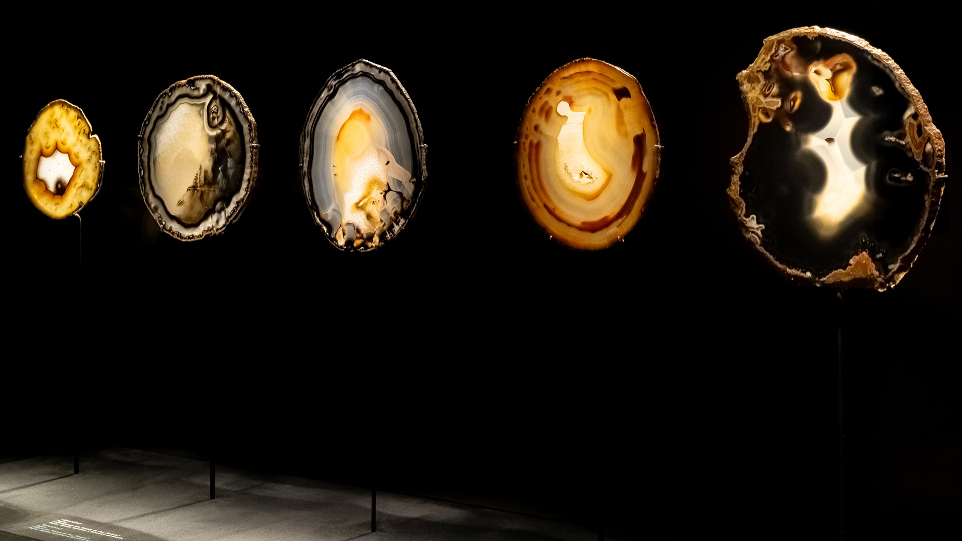 Stones and Reveries from Roger Caillois's personal collection.