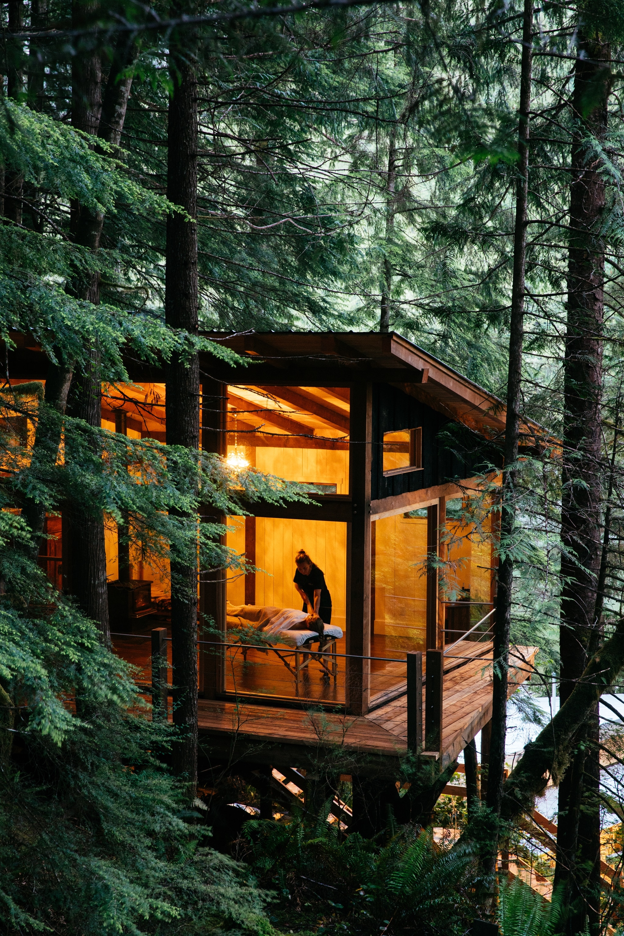 A cabin in a dense green forest