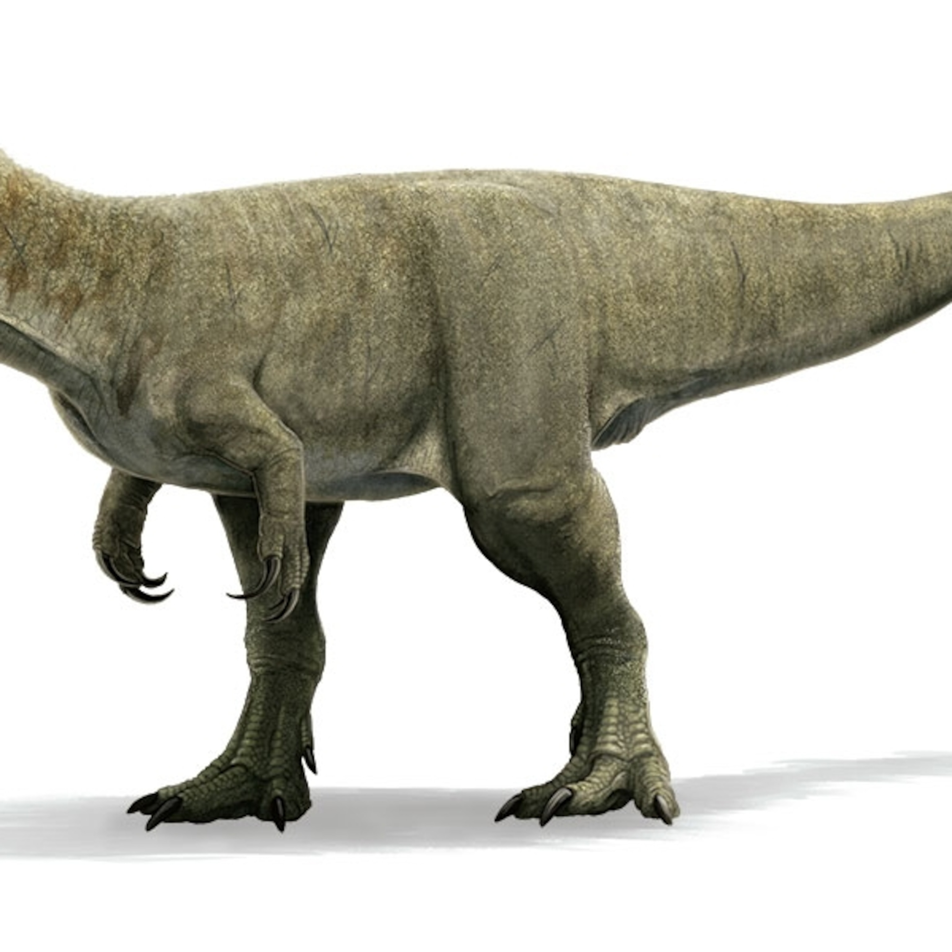 See How We Re Reimagining Dinosaurs In Today S Golden Age Of Paleontology