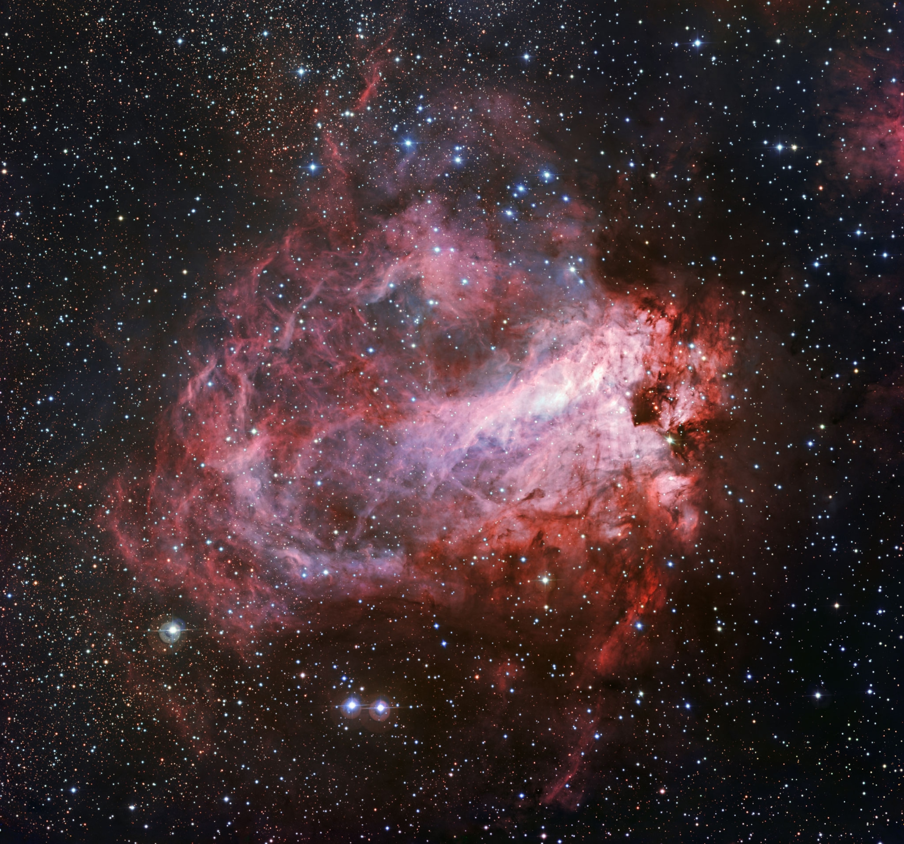 rosebud star forming