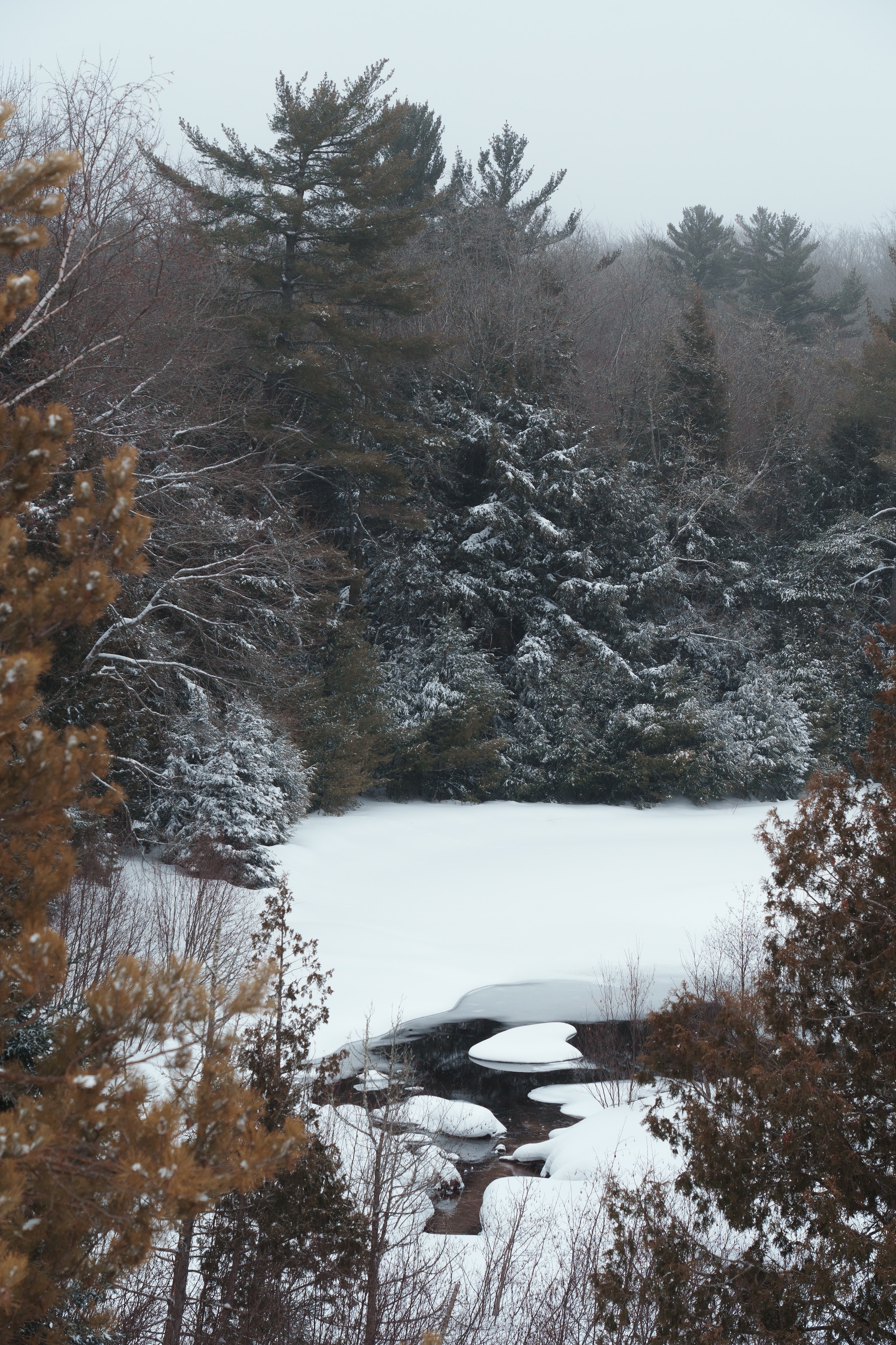 Winter in Michigan