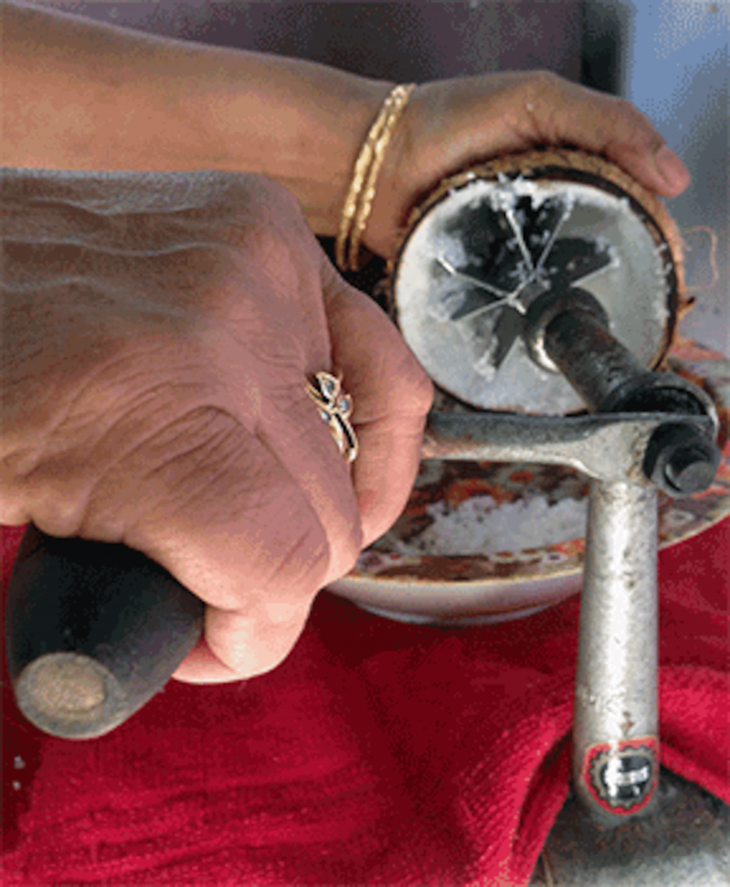 smallcoconutscrapergif