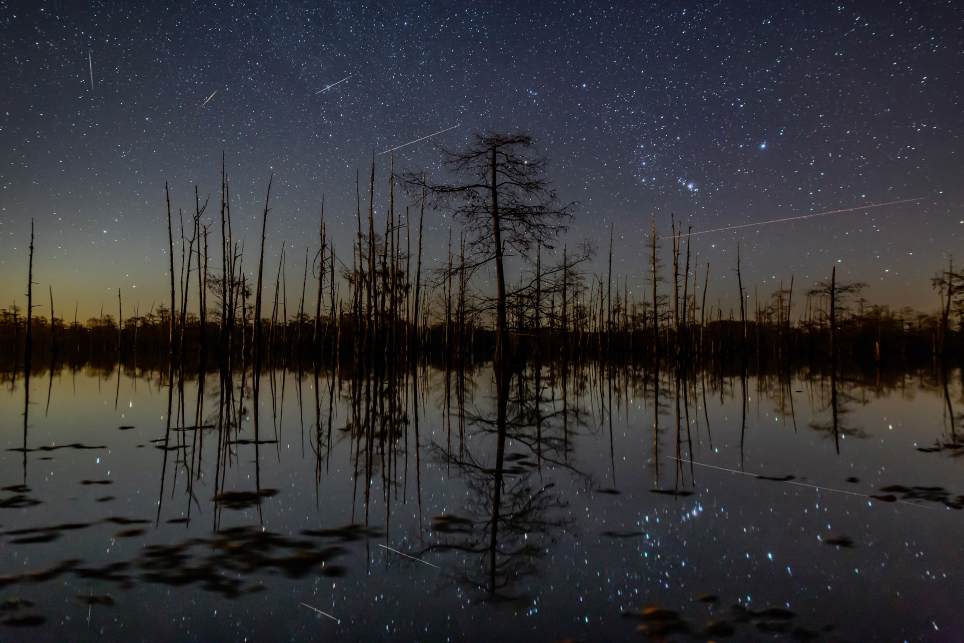 A few meteors streaking through the night sky above a swamp