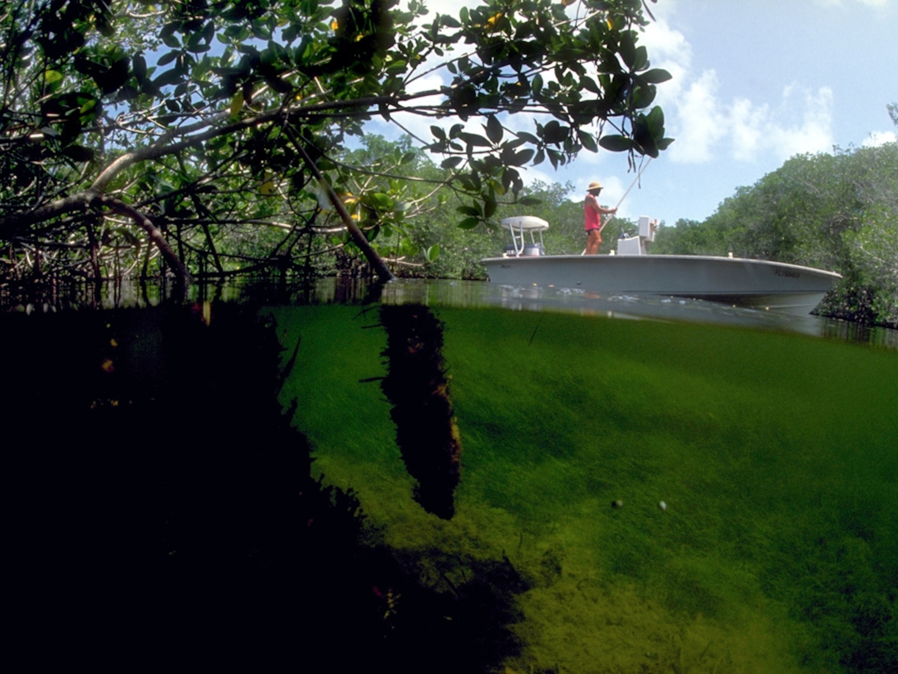 Water view of a man in a fishing boat