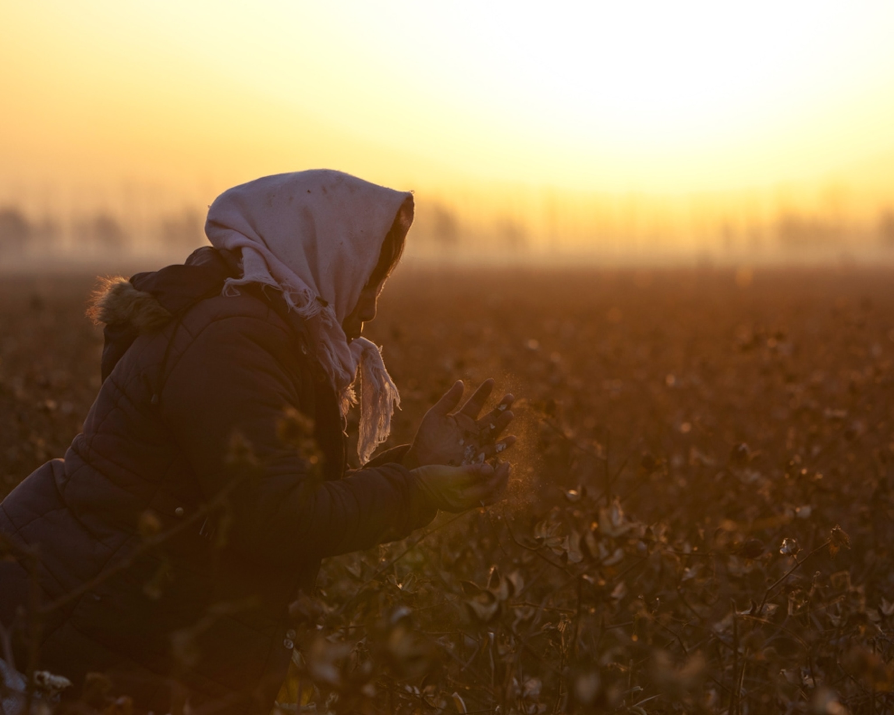 A cotton picker in Boxing, China