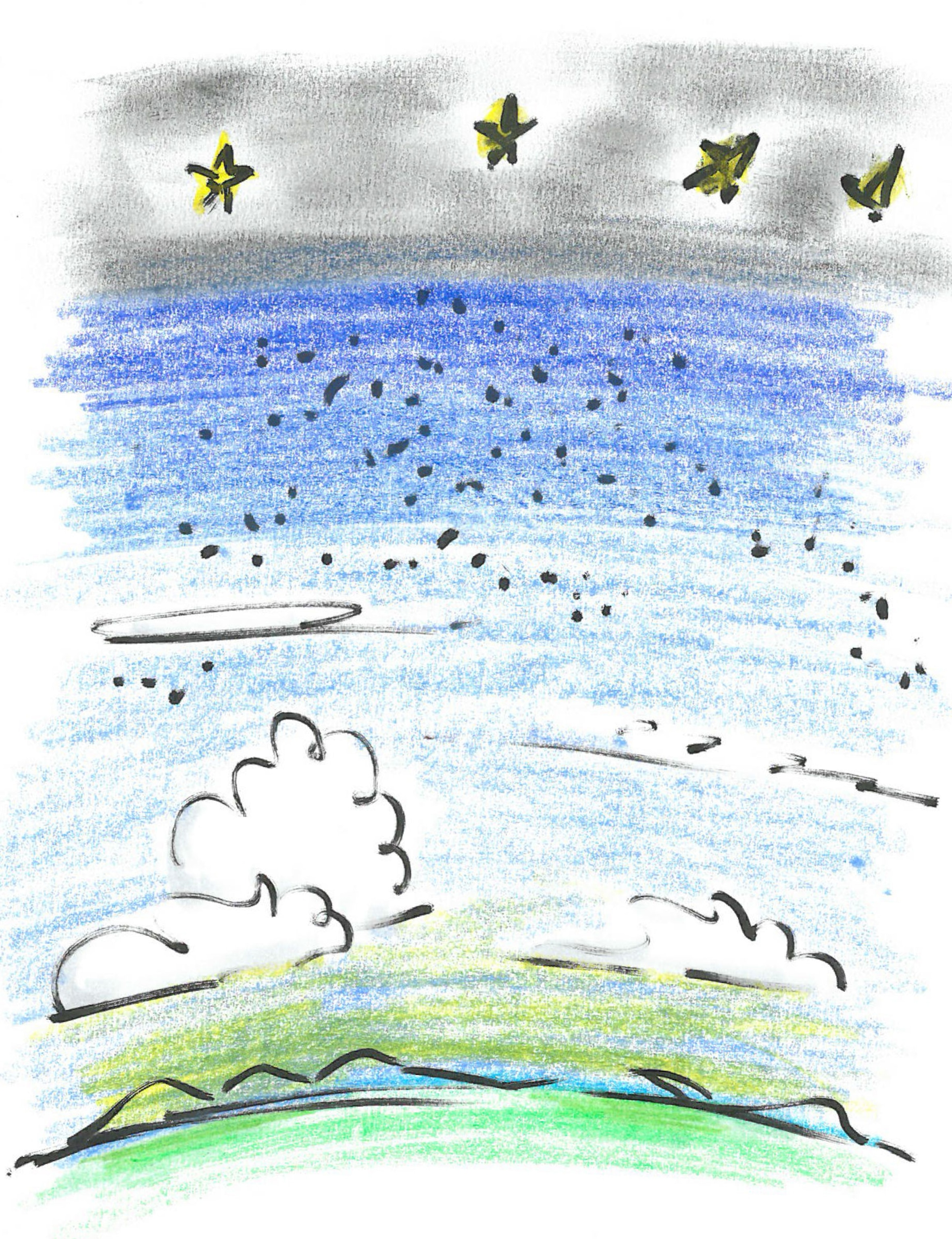 Drawing by Robert Krulwich