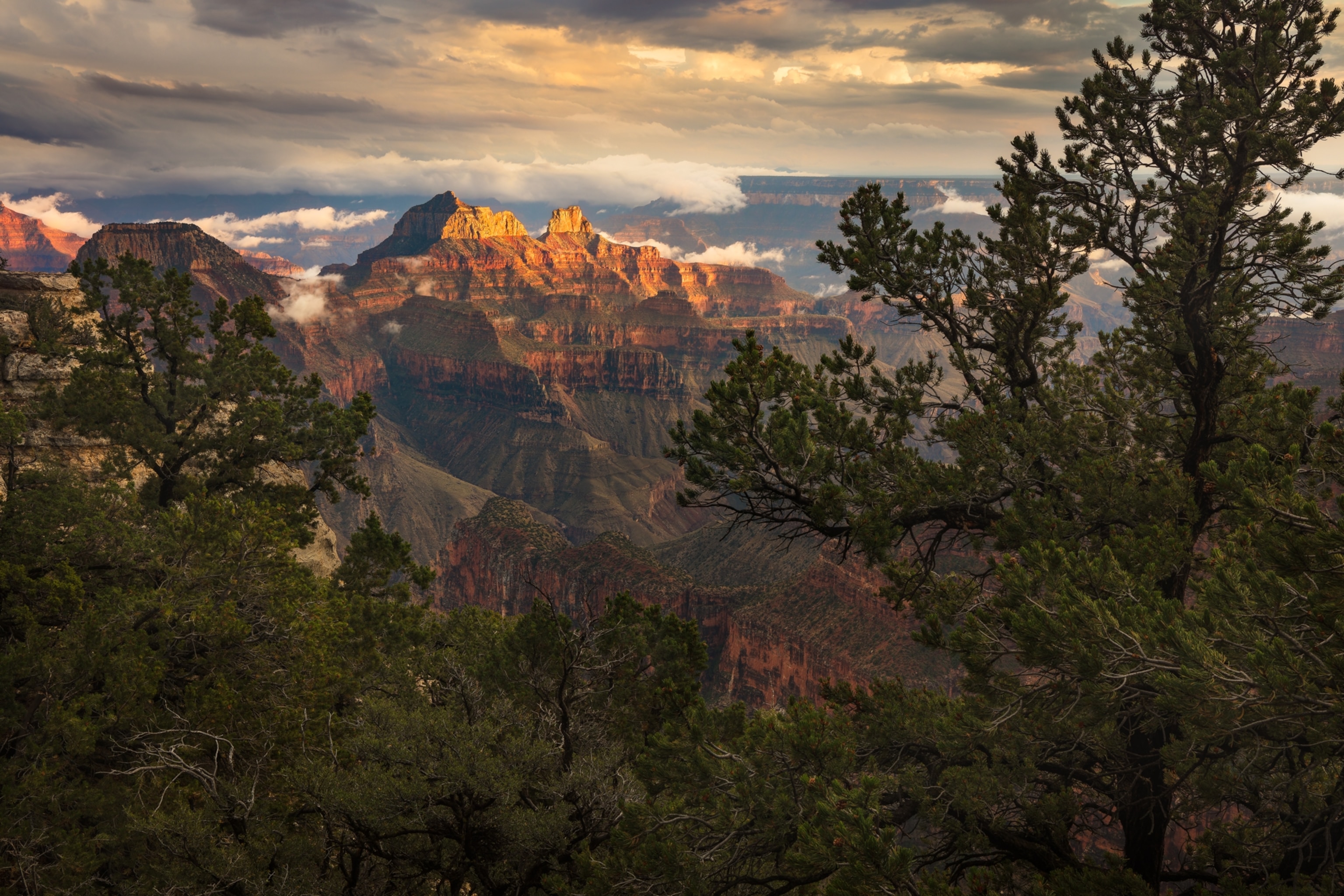 The best summers of my life were spent at the Grand Canyon Lodge. Now it's gone. | National Geographic