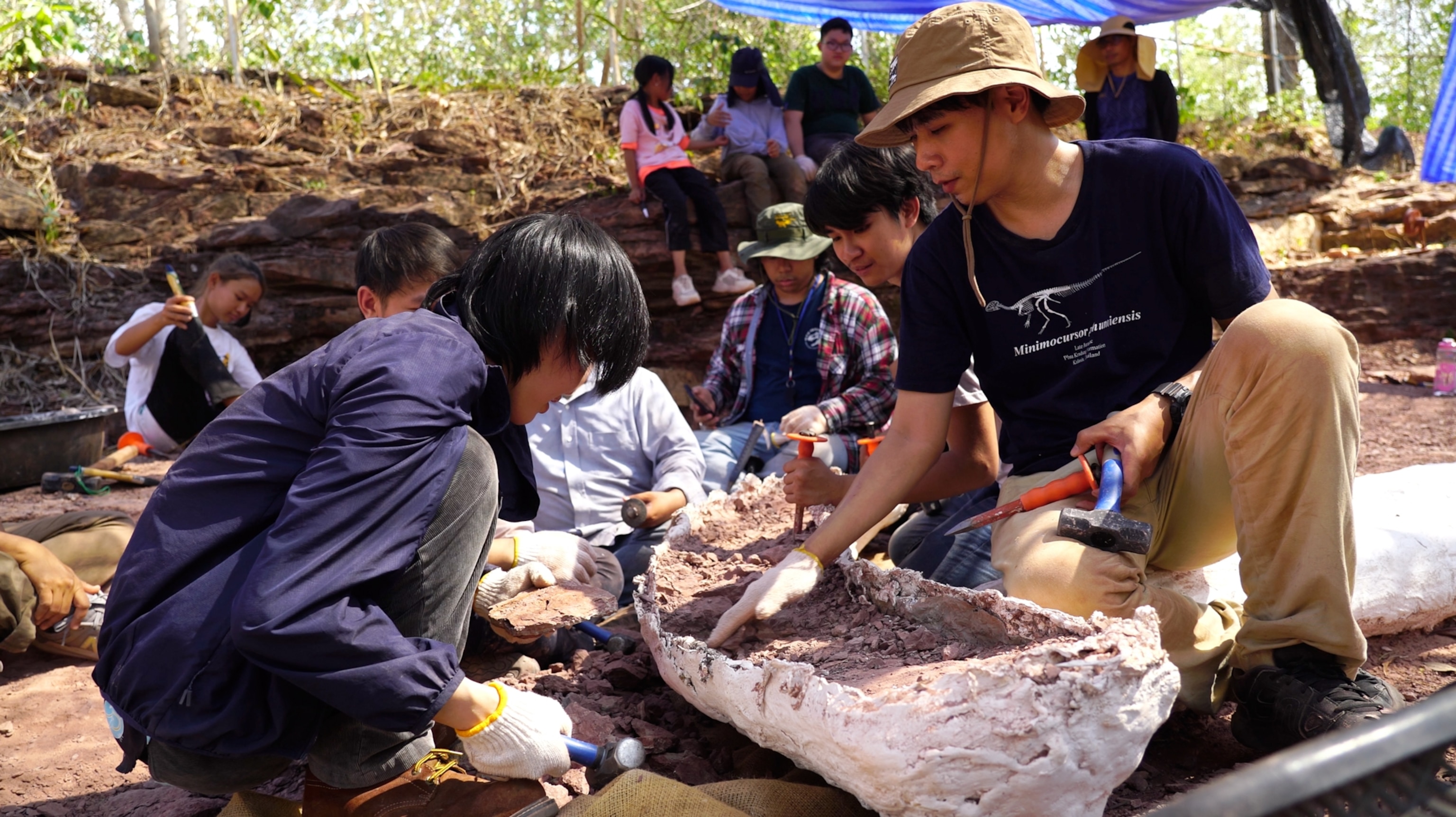A group of archaeologists carefully excavating a large fossil at a dig site