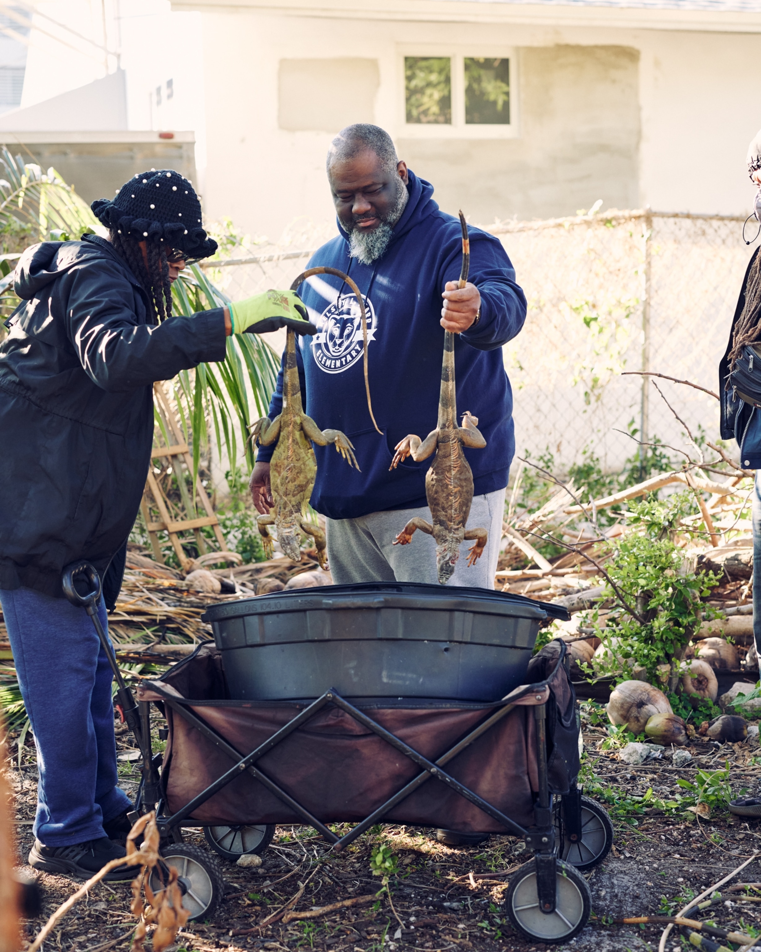 Two people each add frozen iguana to a bin.