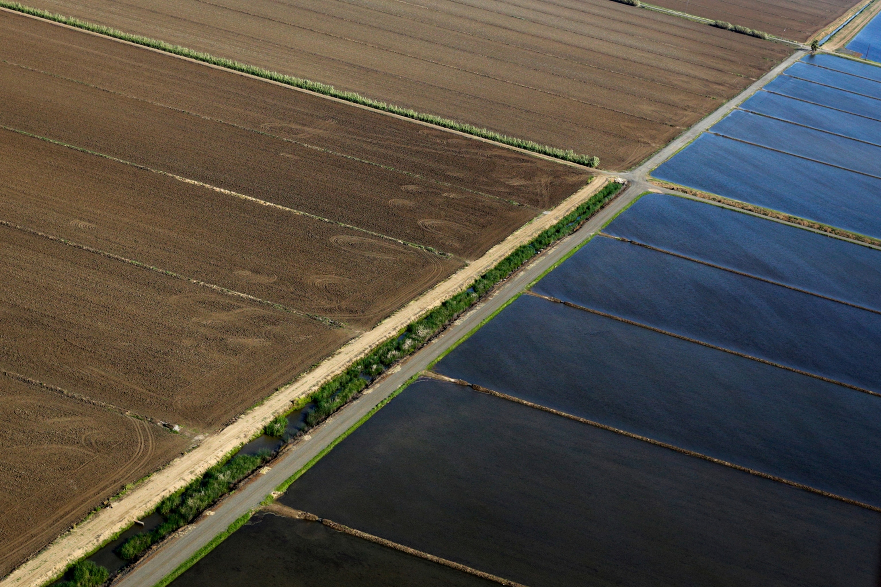 In this May 3, 2014 photo, narrow roads run between Al Montna's rice farm showing the rice fields flooded with water and some fields left idle due to lacking legal rights to water in Yuba City, Calif.