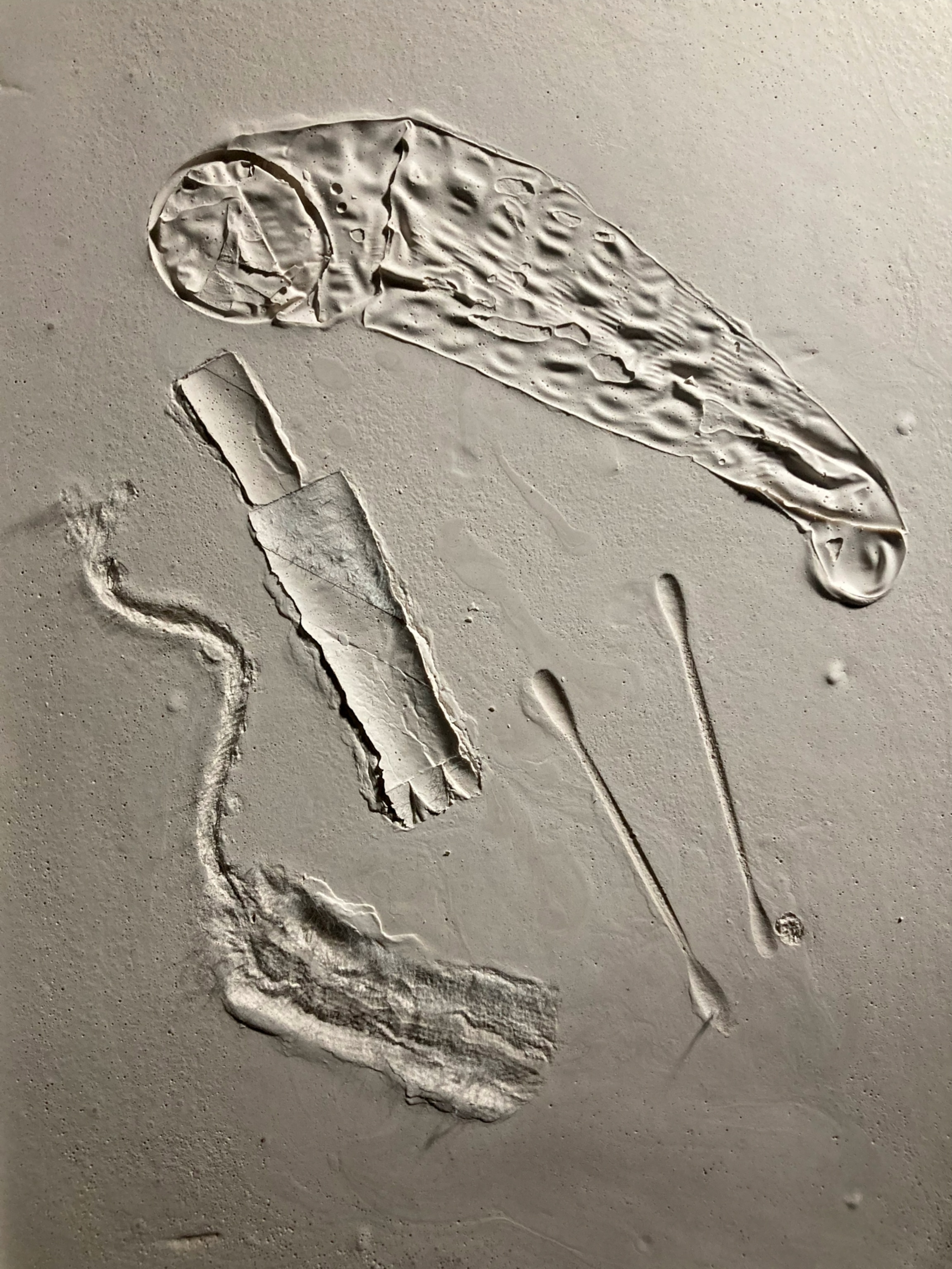 The imprints of a condom, a tampon, cotton swabs, and a tube of makeup left on a mock fossil