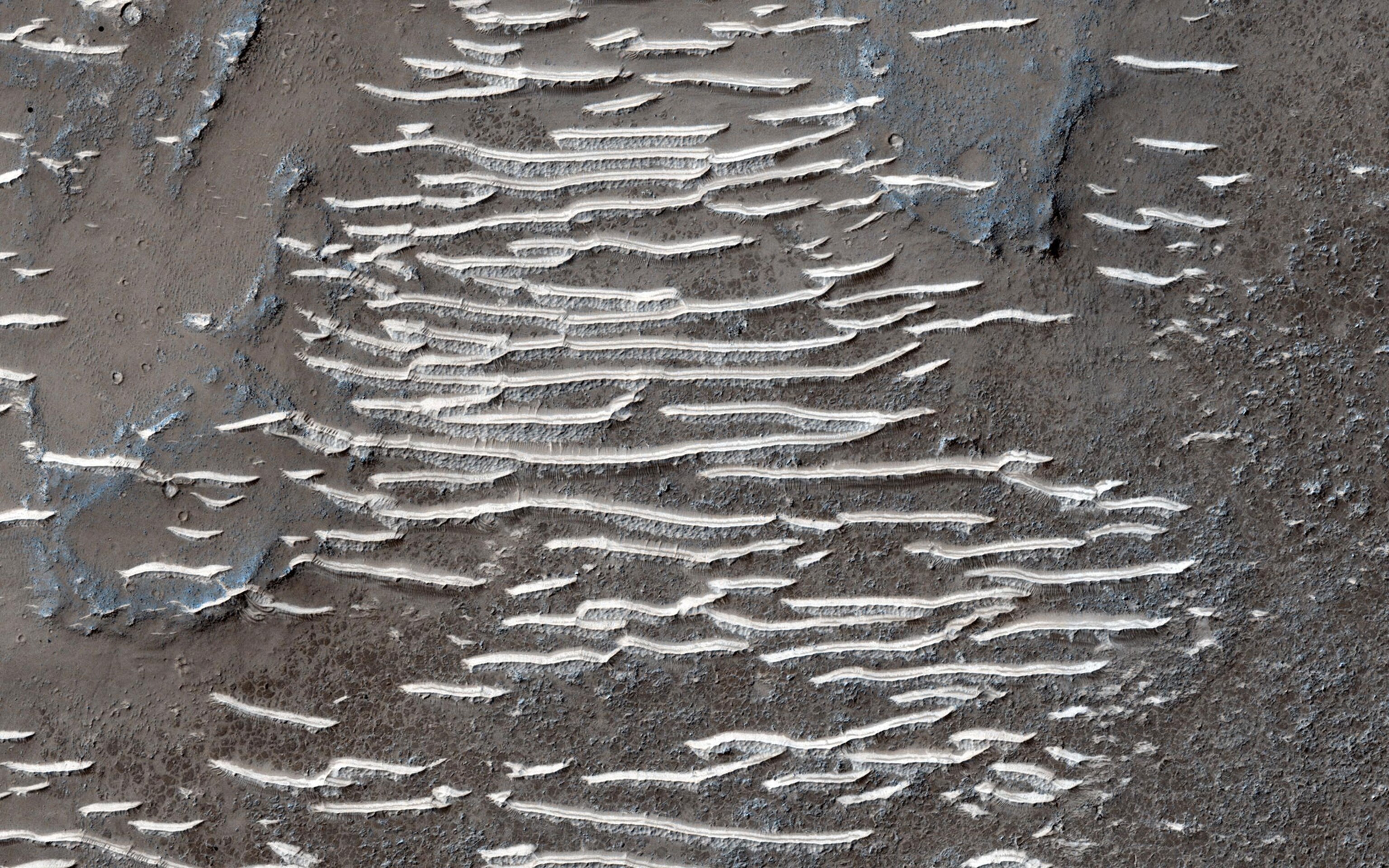 the surface of Mars