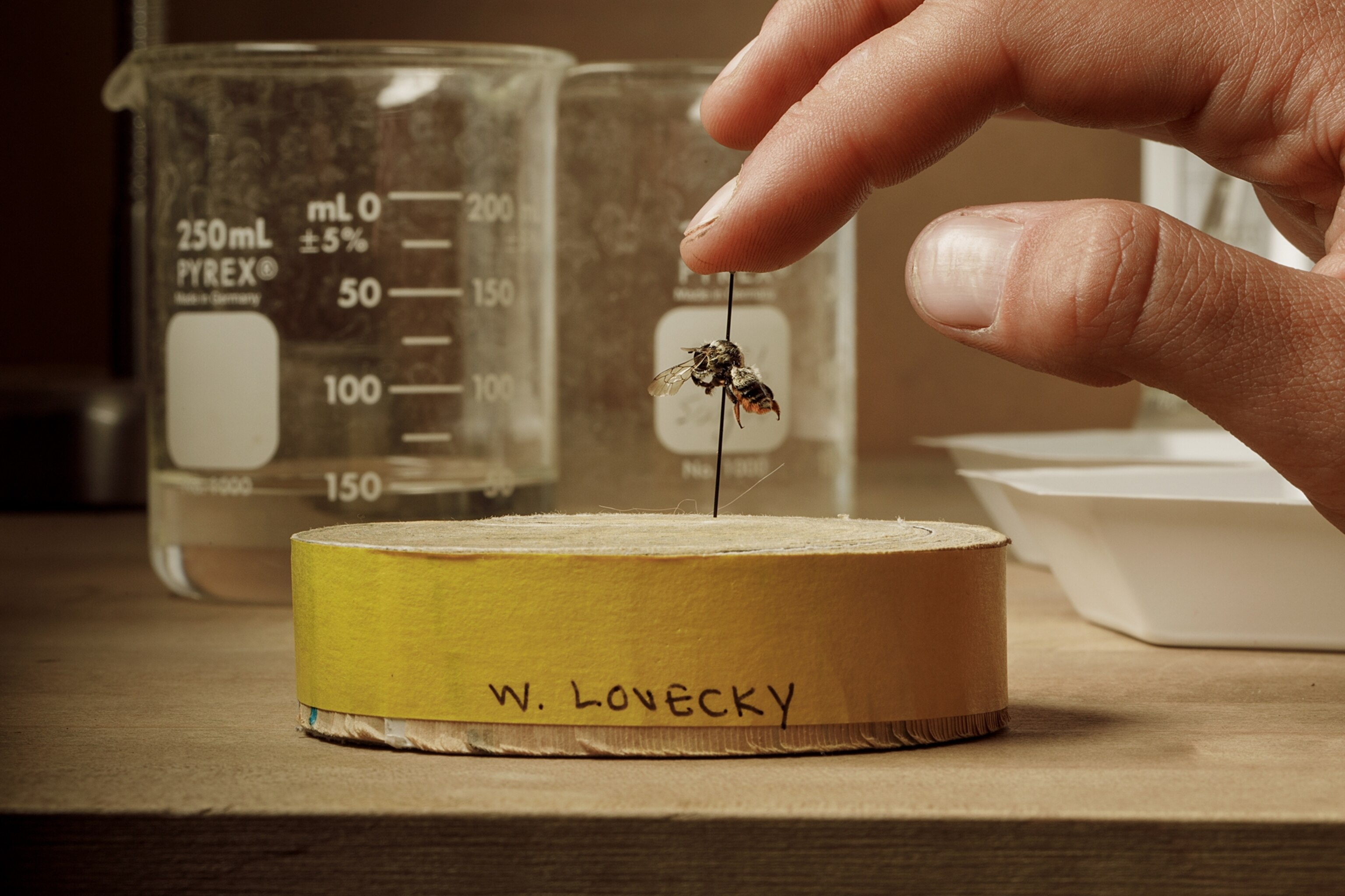 Nature is out of sync—and that’s reshaping everything, everywhere