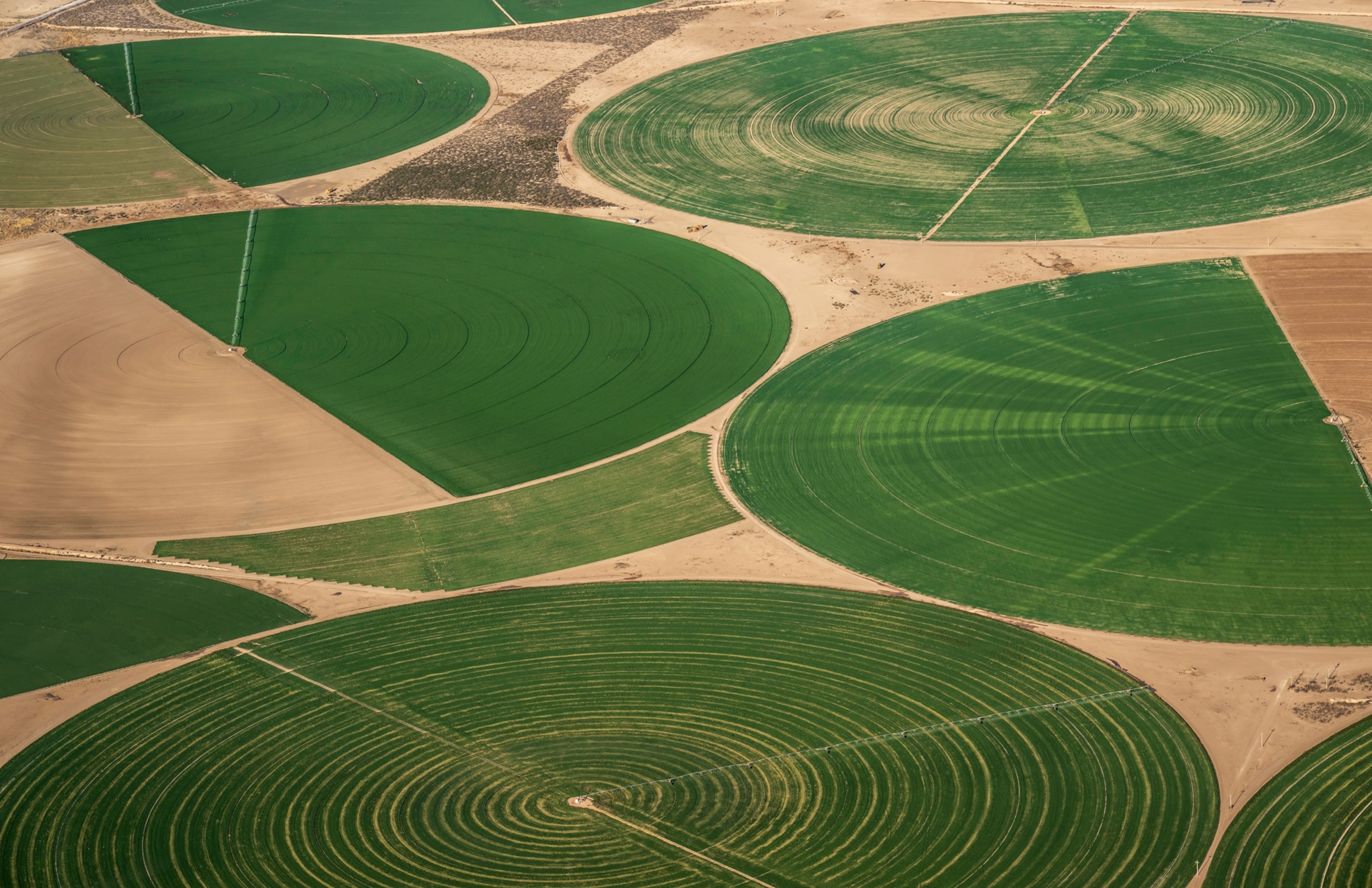 Center-pivot irrigation systems in use by Mennonite farmers in Colonia El Camello, Chihuahua, Mexico.