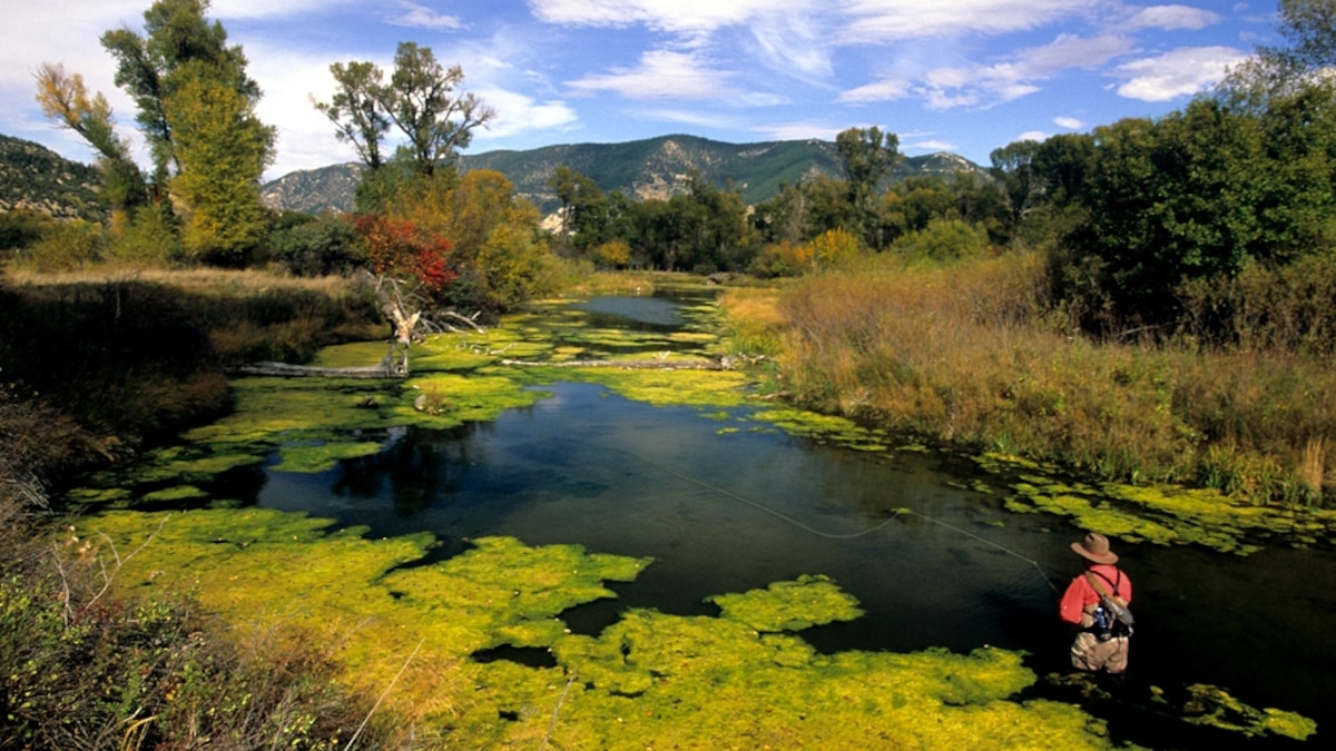 FlyFish the Paradise Valley Spring Creeks, Best American Adventures