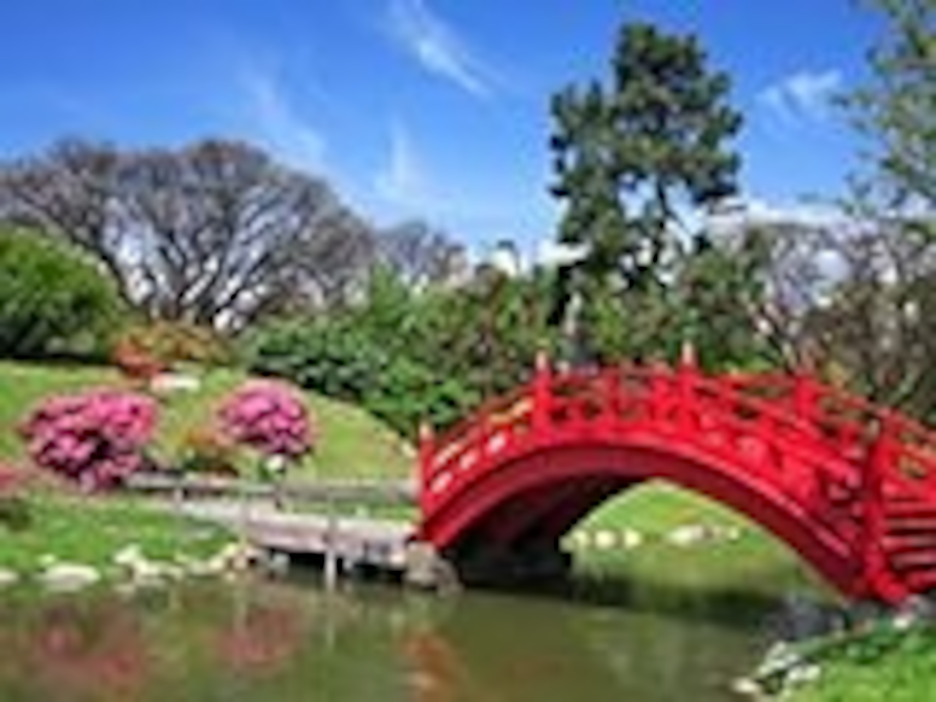 a Japanesse garden in Buenos Aires, Argentina