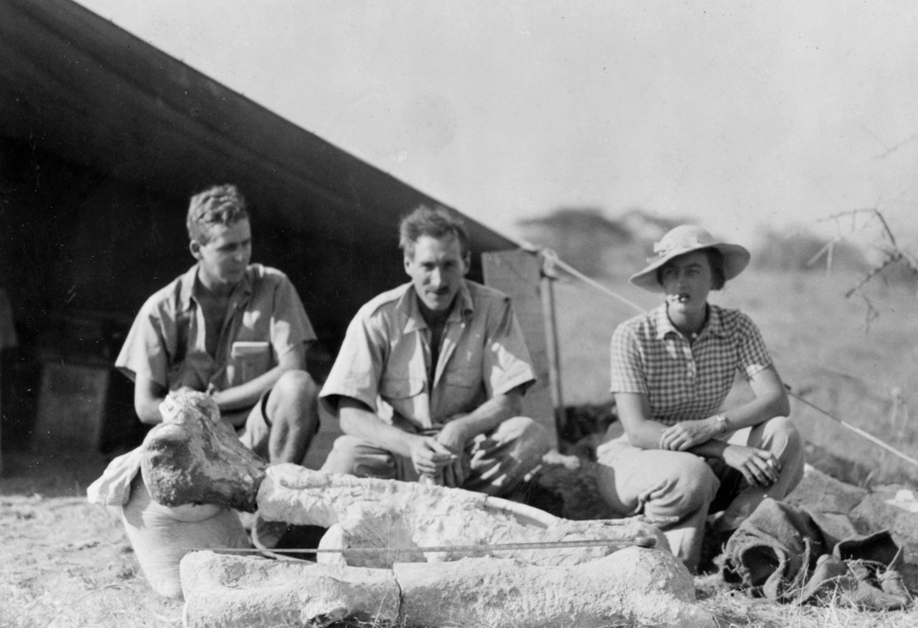 six images of a variety of female scientists.