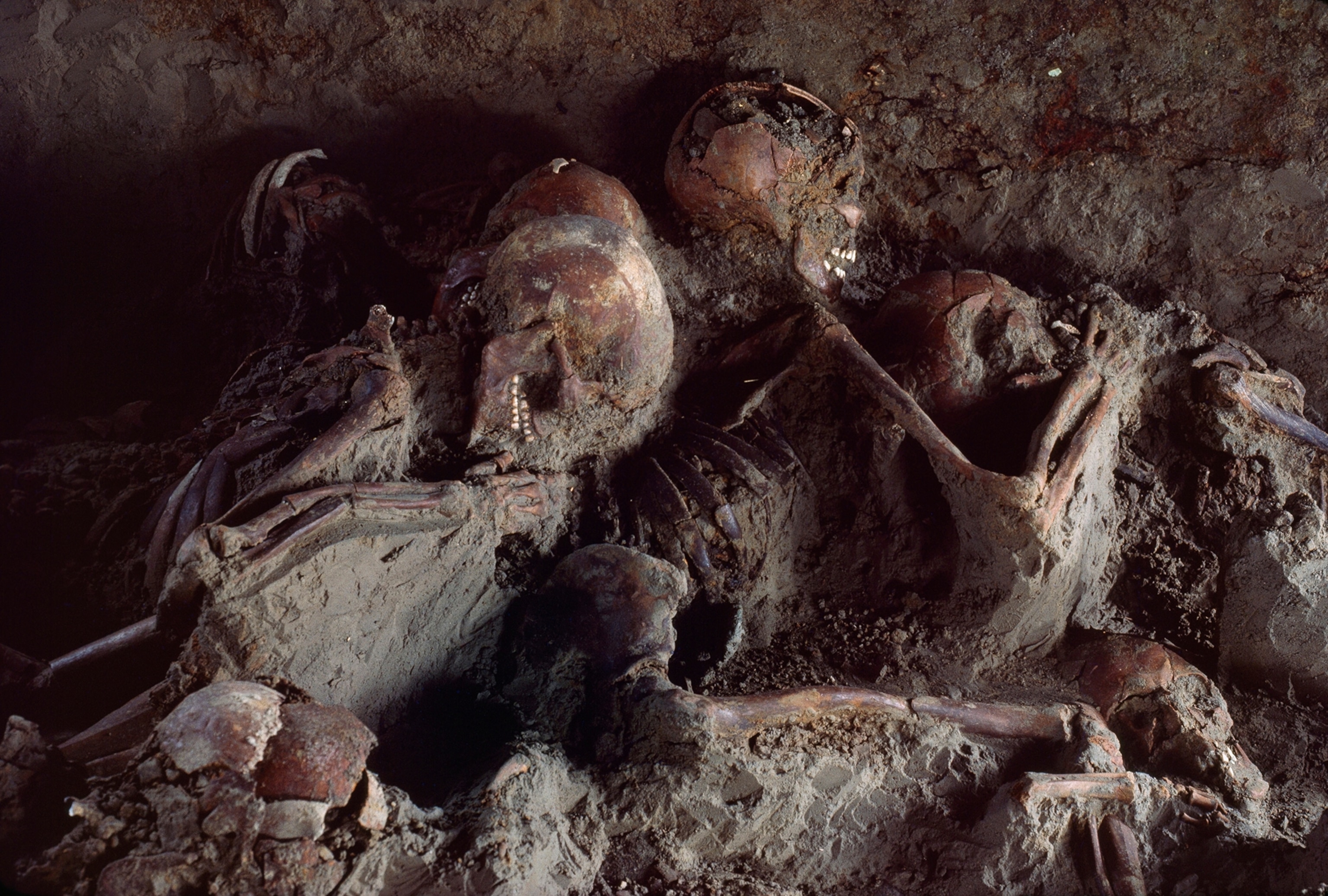 Victims of an ancient volcanic eruption cling to each other.