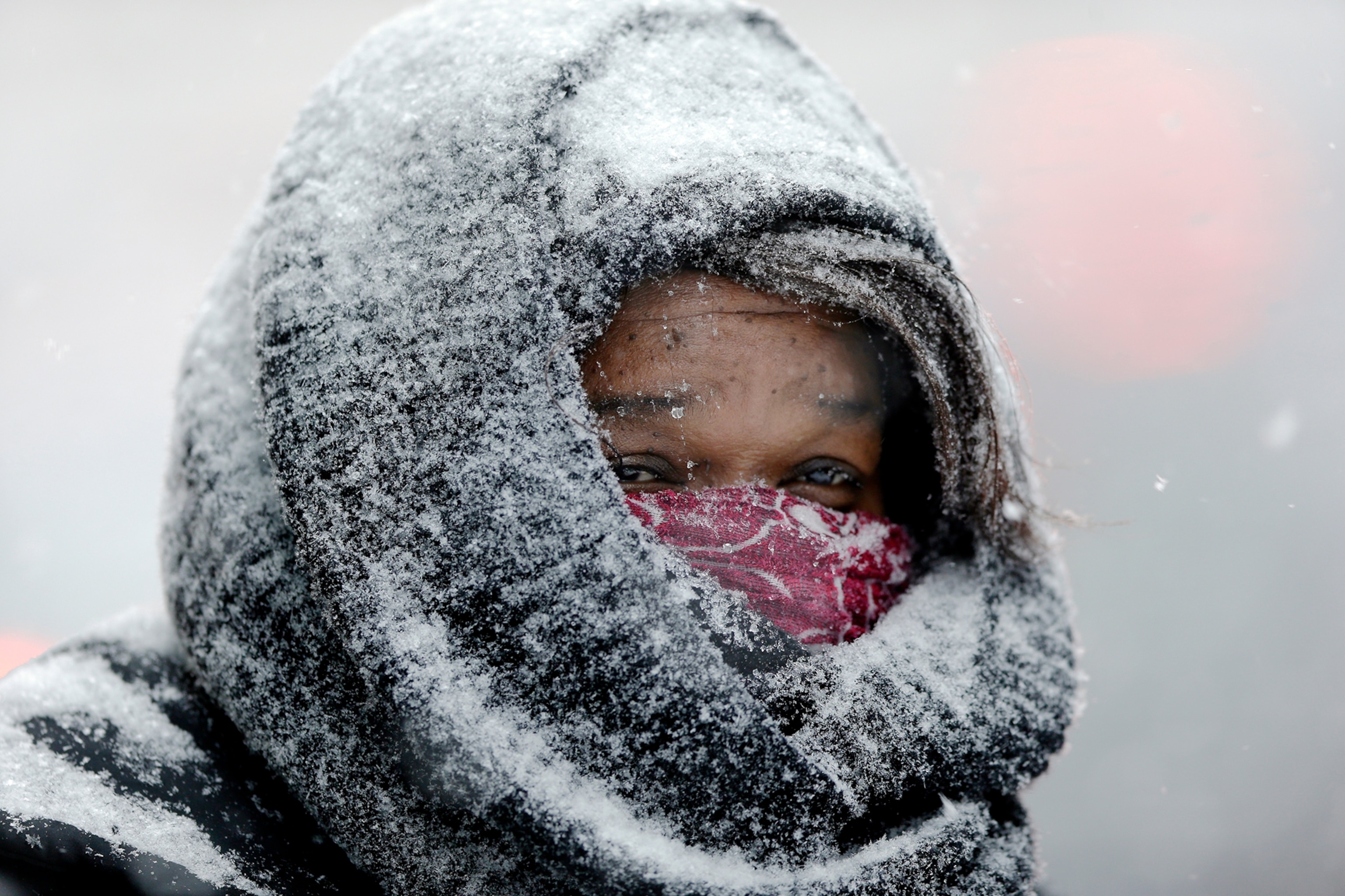 Editor's Picks: Our Favorite Pictures of the Winter Snowstorm