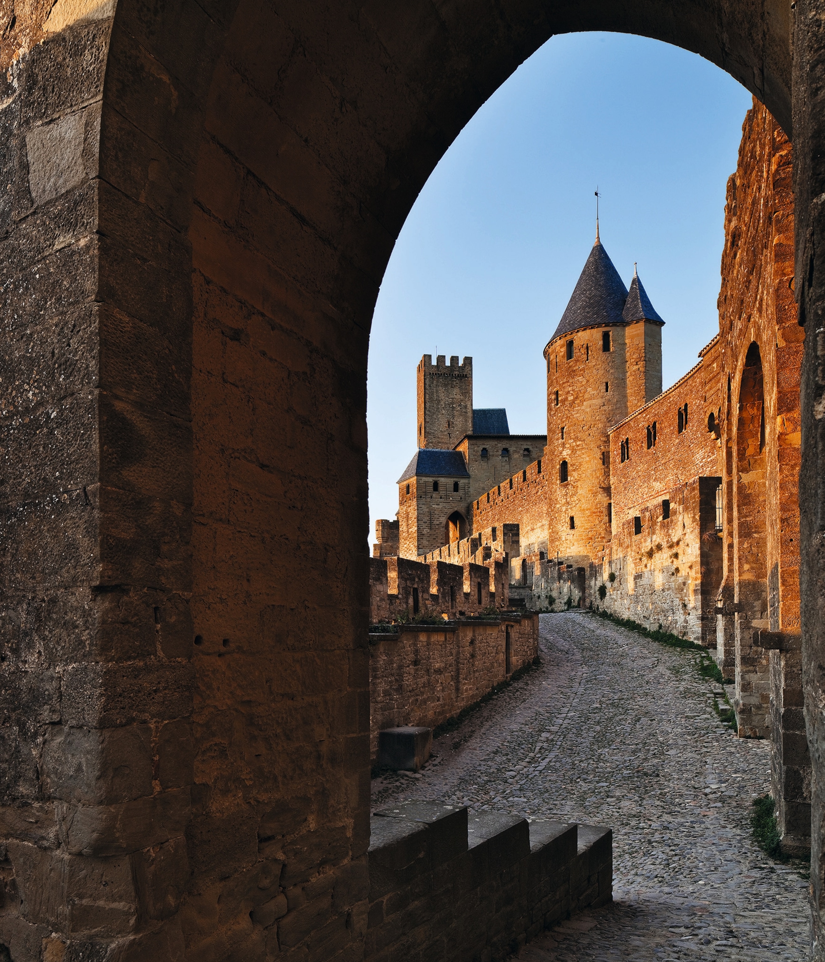 Carcassonne castle is pictured.