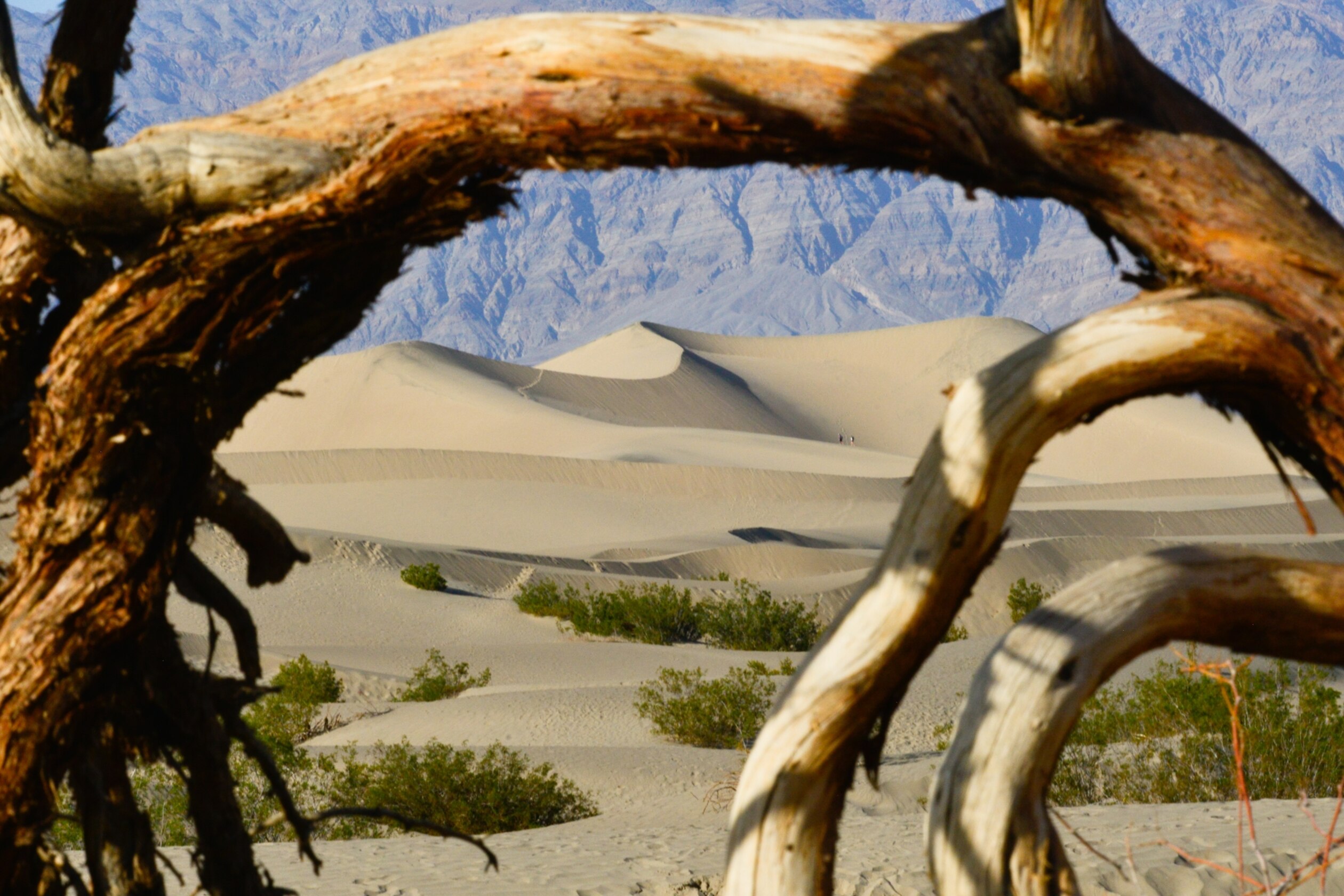 How did Death Valley get its name? Not from the heat